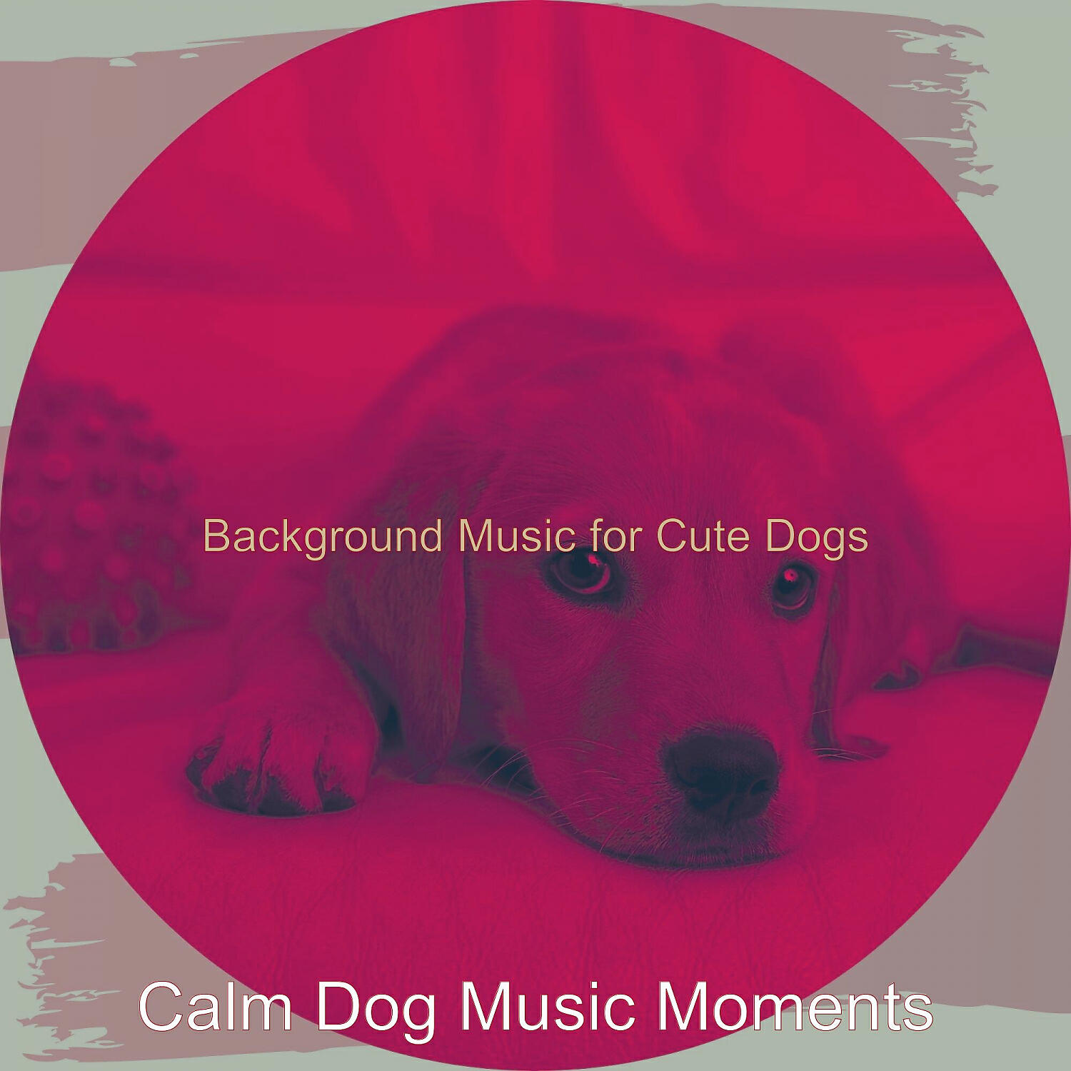 Calm Dog Music Moments - Wonderful Cute Dogs