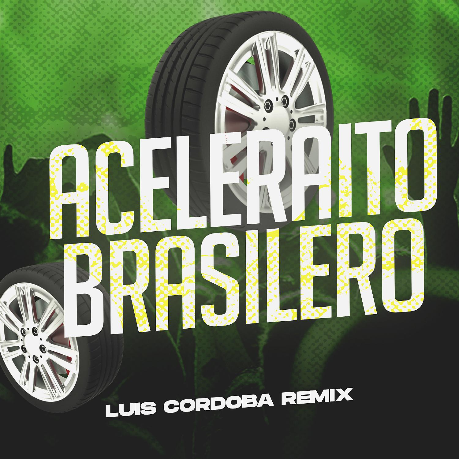 Постер альбома Aceleraito Brasilero