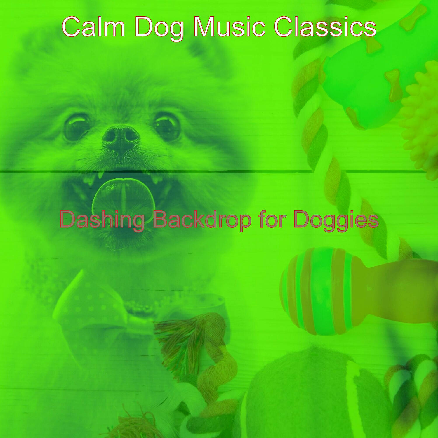 Calm Dog Music Classics - Dashing Backdrops for Relaxing Dogs