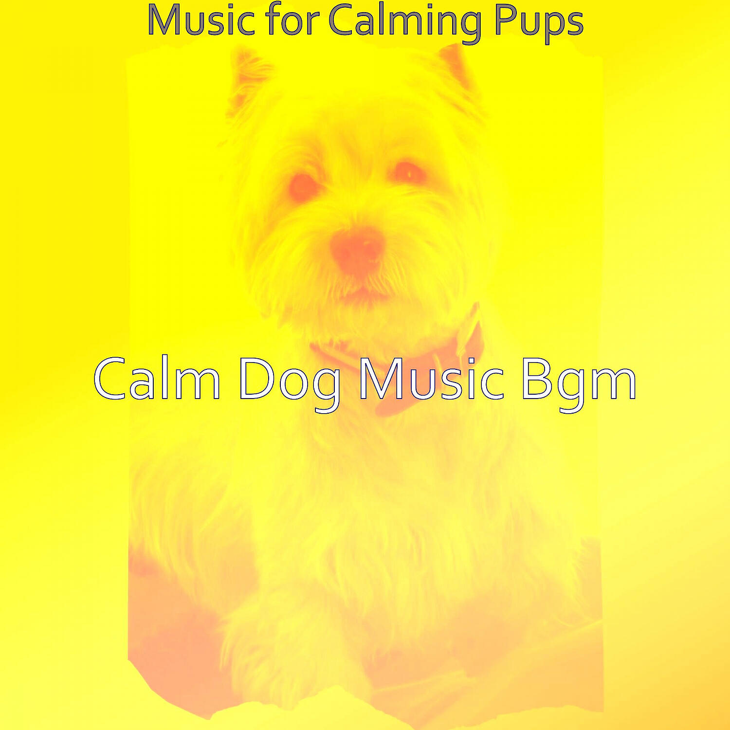 Calm Dog Music Bgm - Successful Backdrops for Cute Dogs