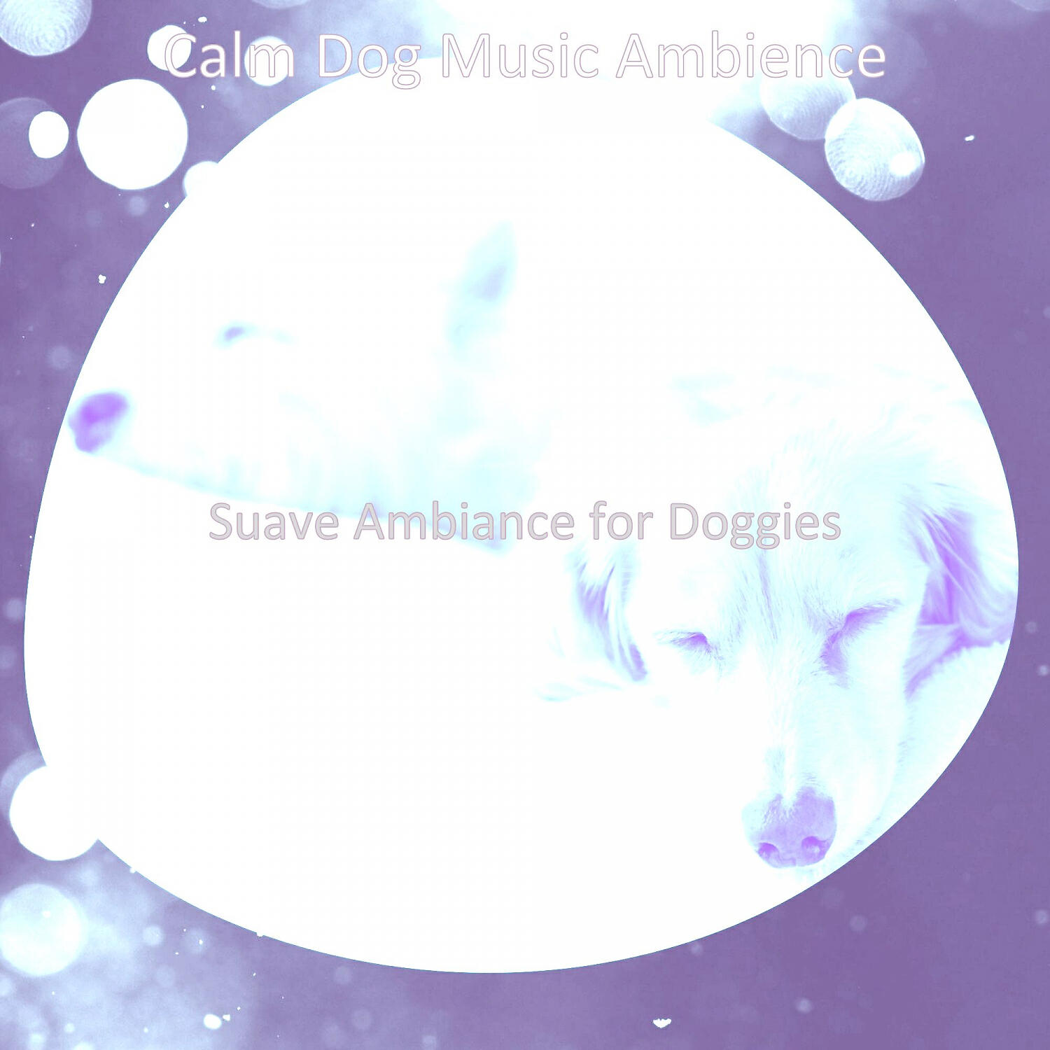 Calm Dog Music Ambience - Charming Backdrops for Relaxing Dogs