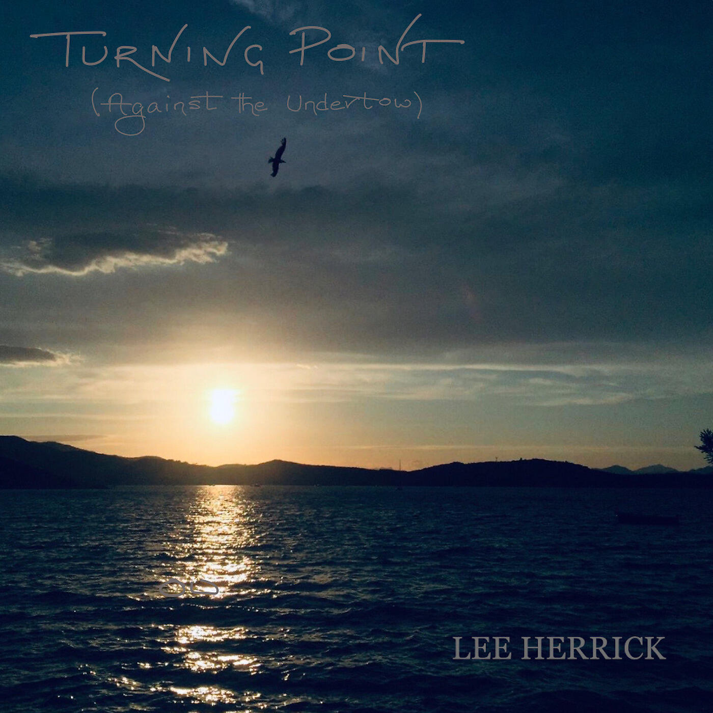 Lee Herrick - Turning Point - Against the Undertow