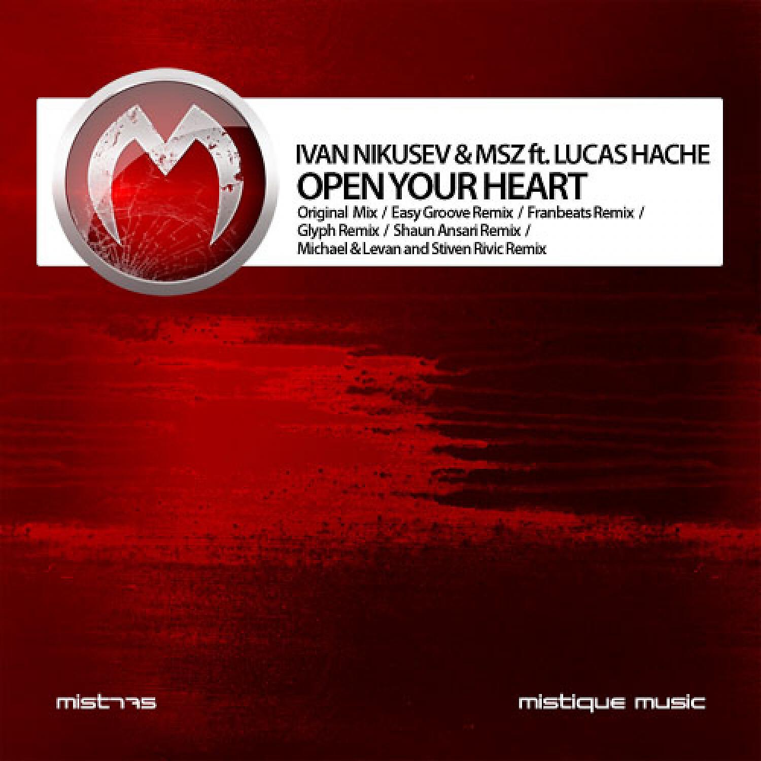 Ivan Nikusev - Open Your Heart (Shaun Ansari Instrumental Remix)