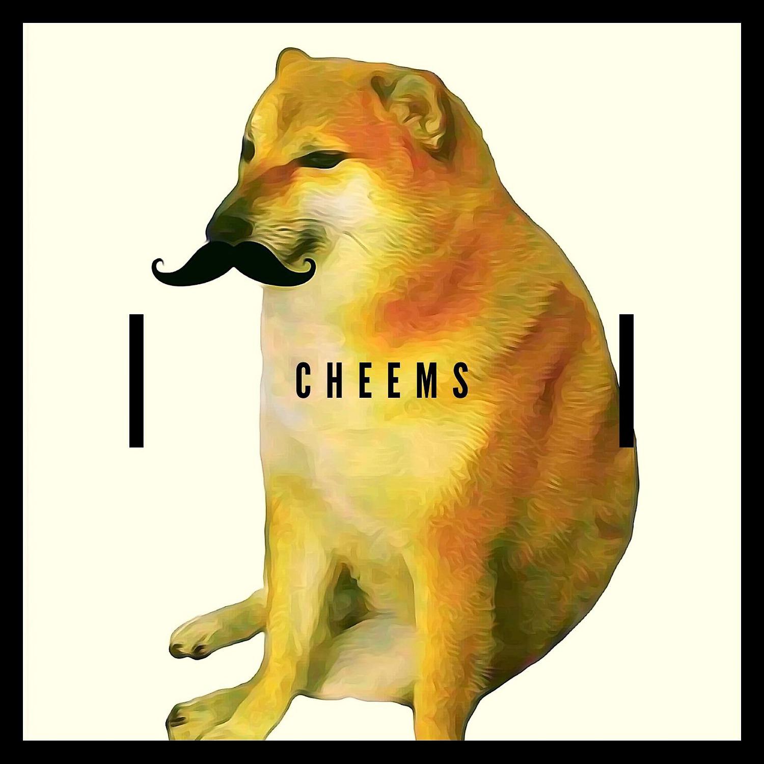 Постер альбома Cheems