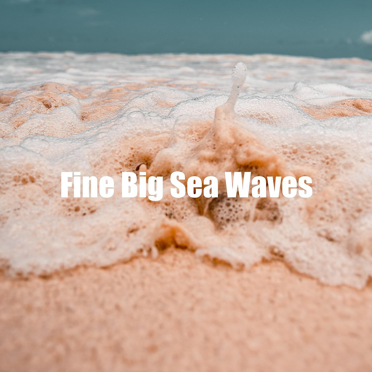 Постер альбома Fine Big Sea Waves