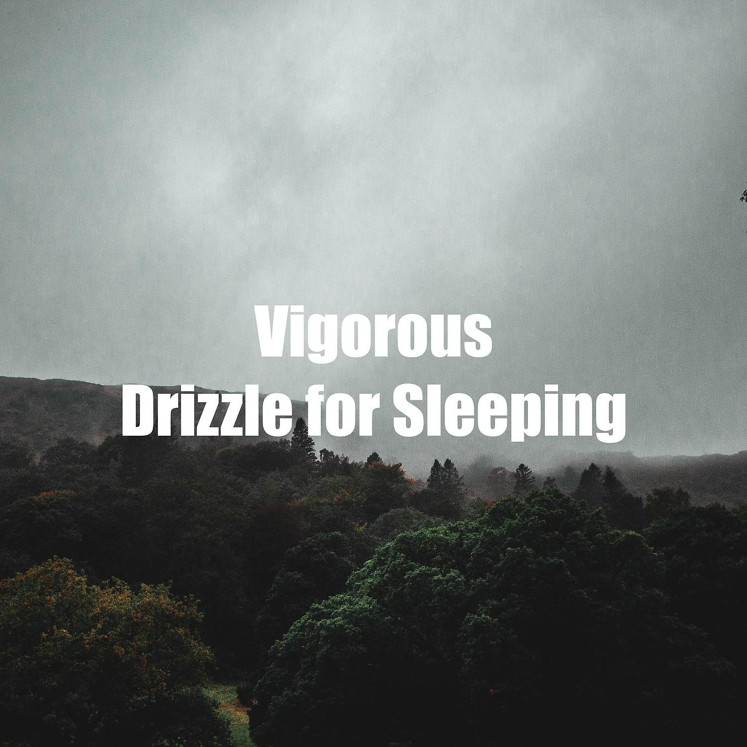 Постер альбома Vigorous Drizzle for Sleeping