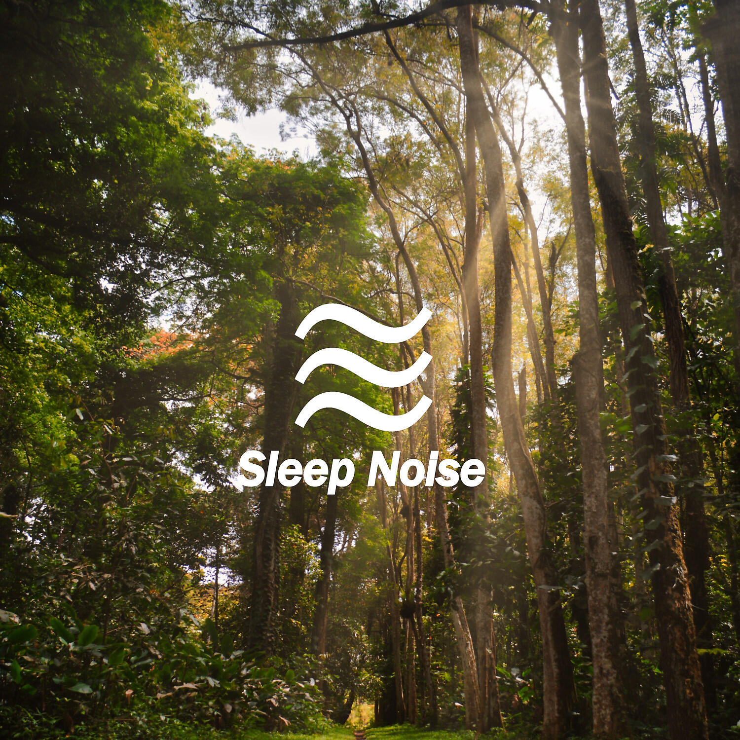 Airplane Soothing Sleep Noise for Babies - Sleeping Easy with Brown Pleasant Noise
