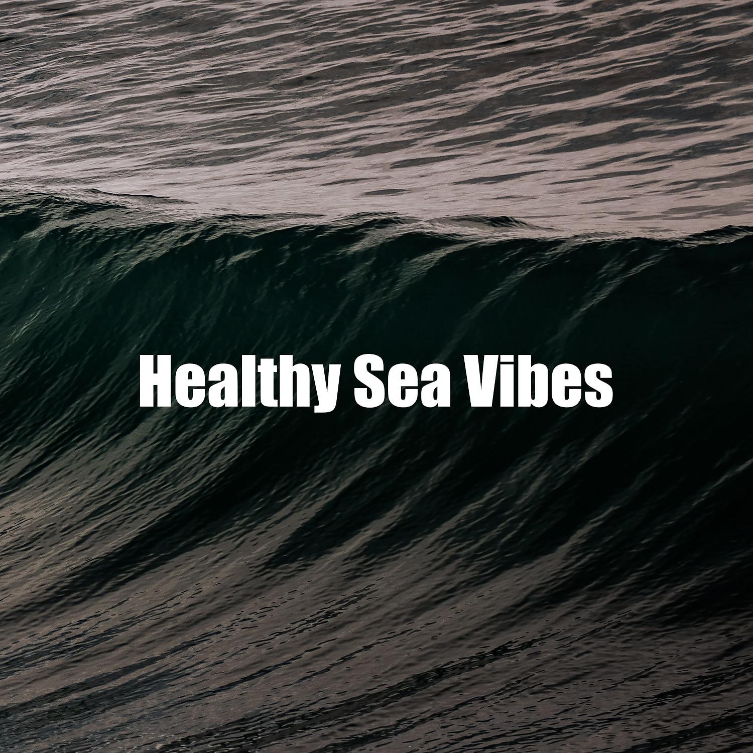 Постер альбома Healthy Sea Vibes