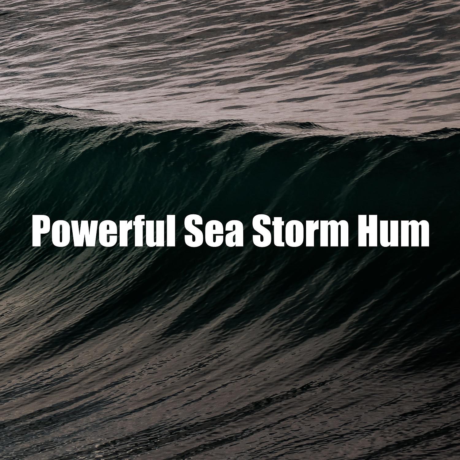 Постер альбома Powerful Sea Storm Hum