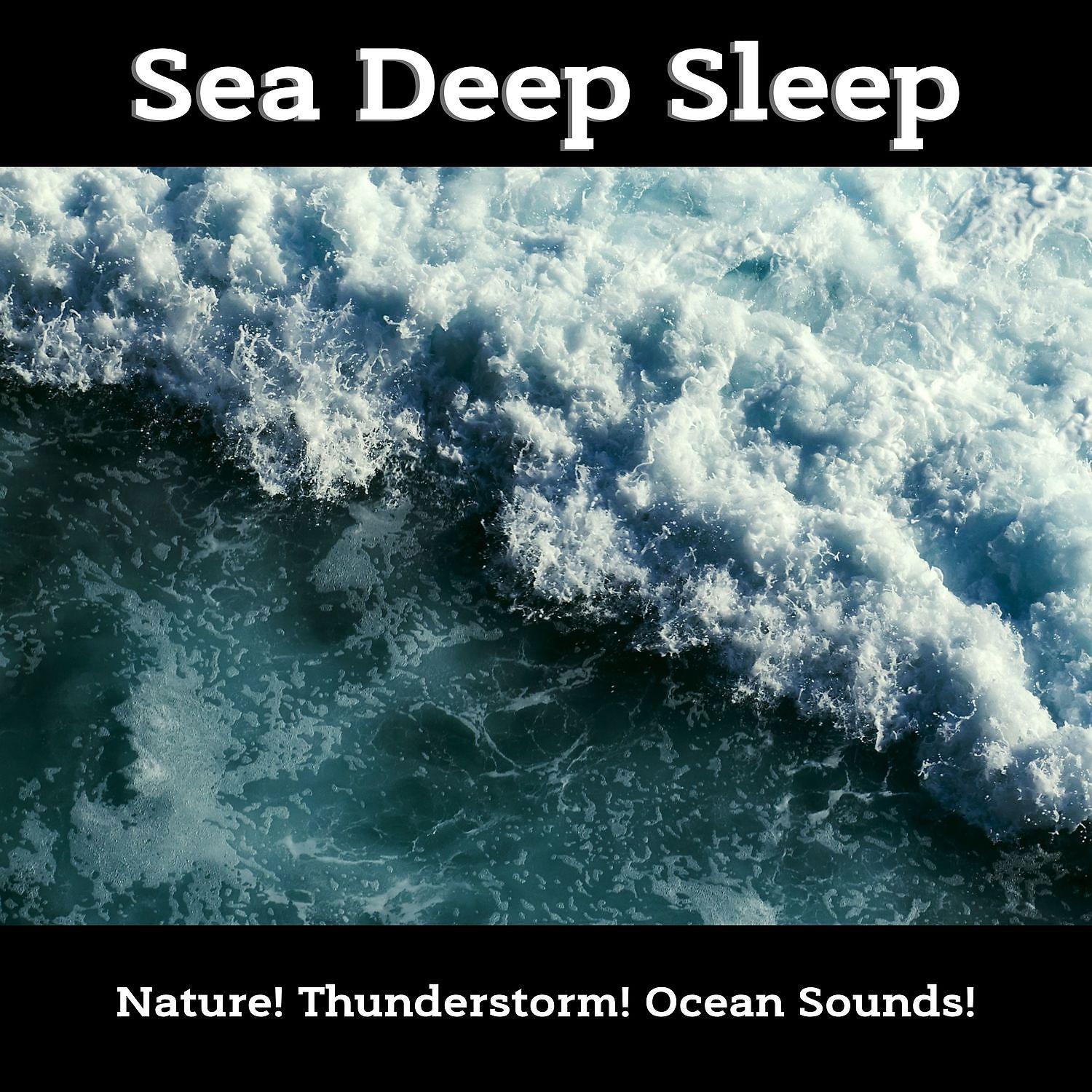 Постер альбома Sea Deep Sleep