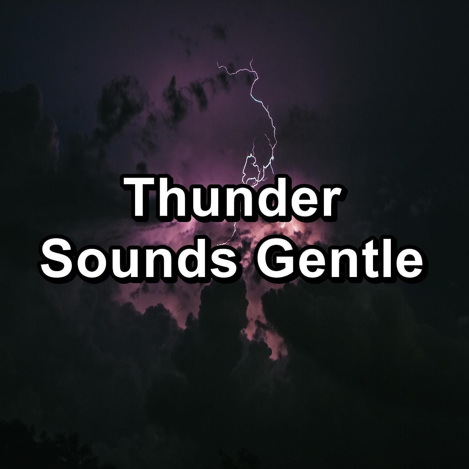Постер альбома Thunder Sounds Gentle