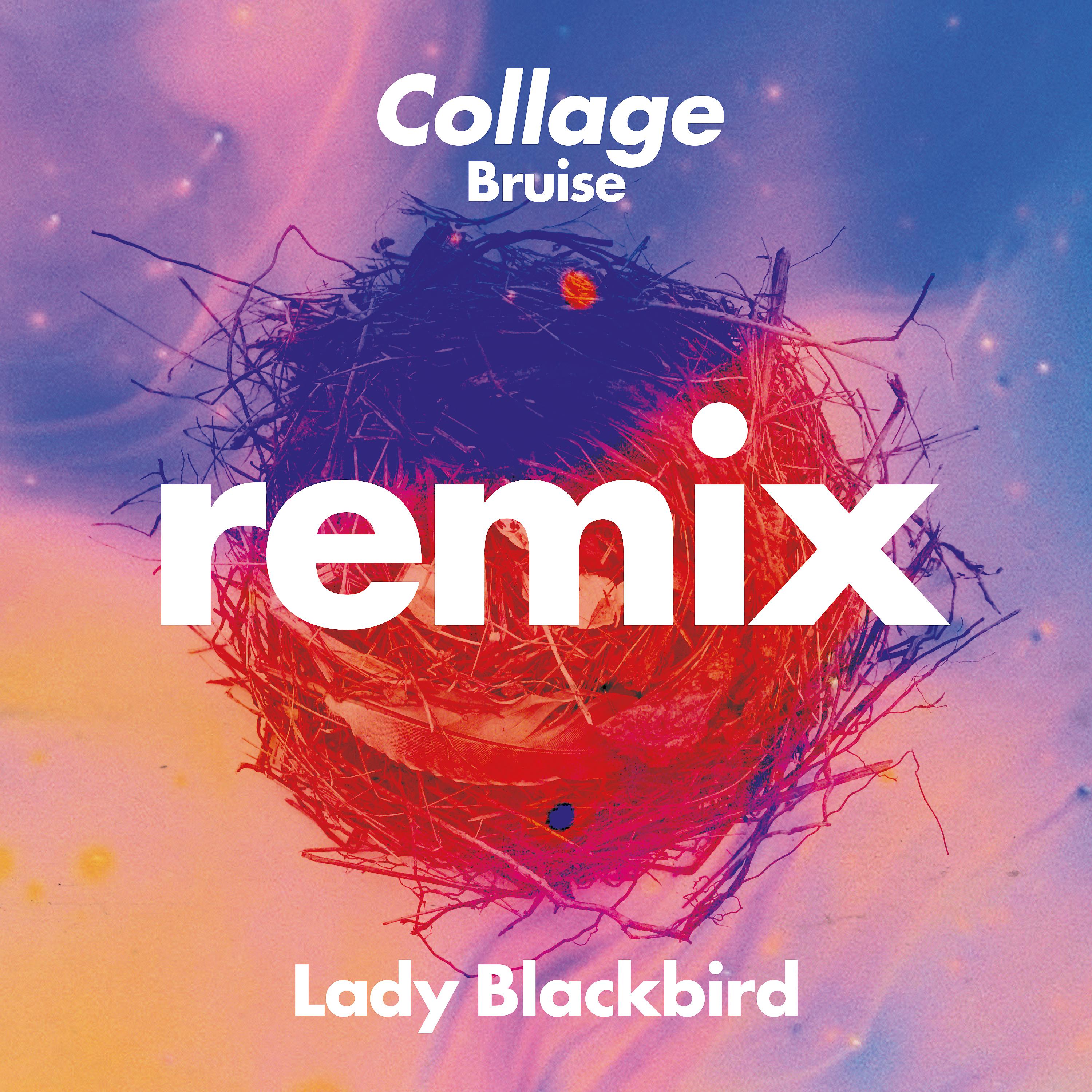 Постер альбома Collage  (Bruise Remix)