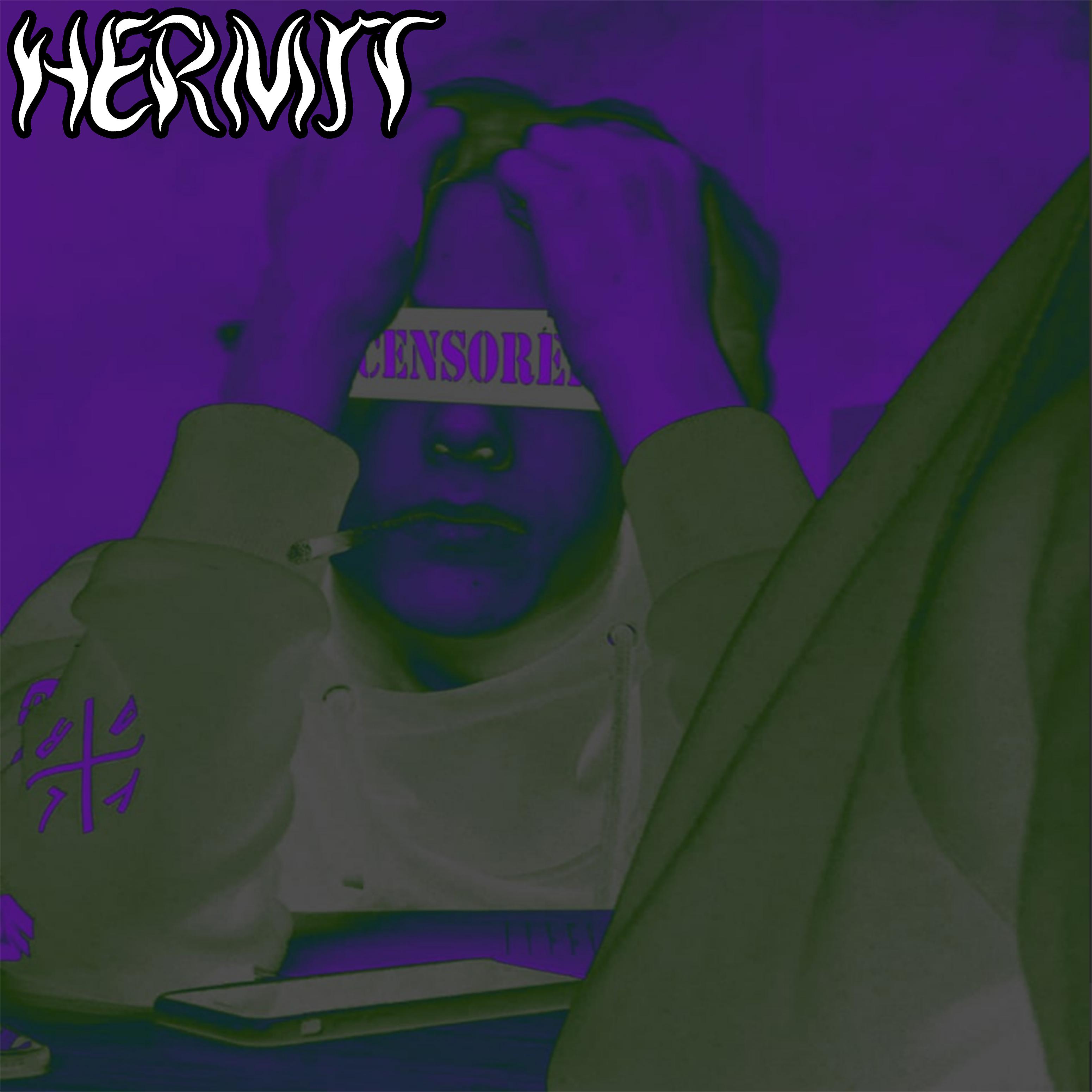 Постер альбома Hermit