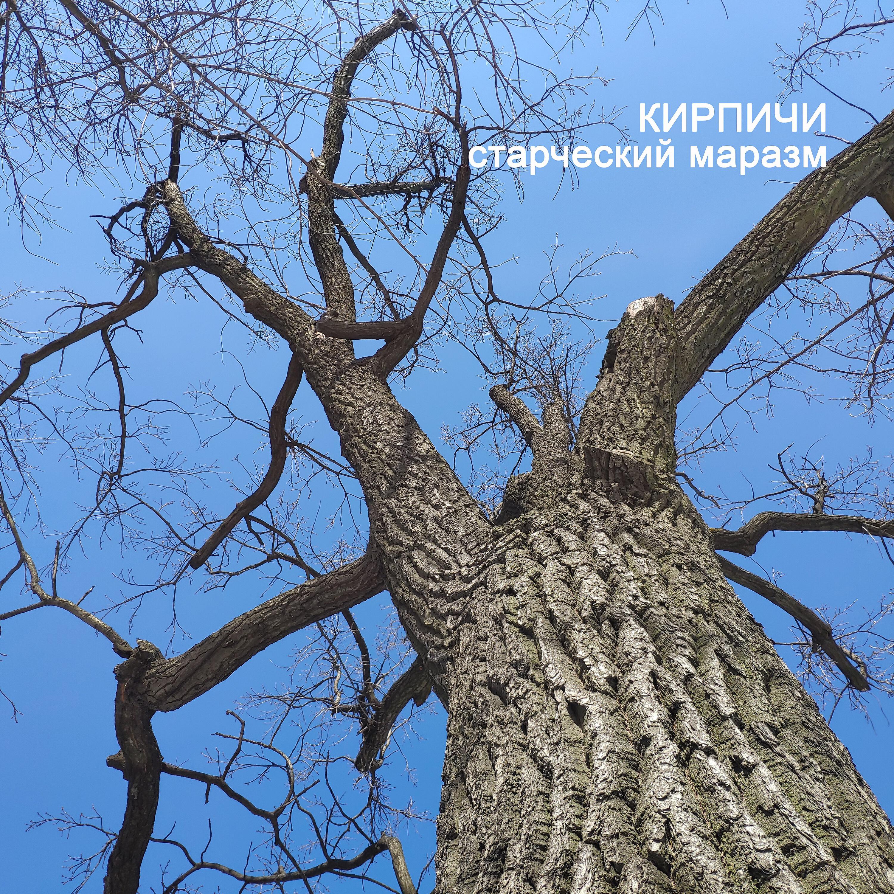 КИРПИЧИ - Осколок древних эпох
