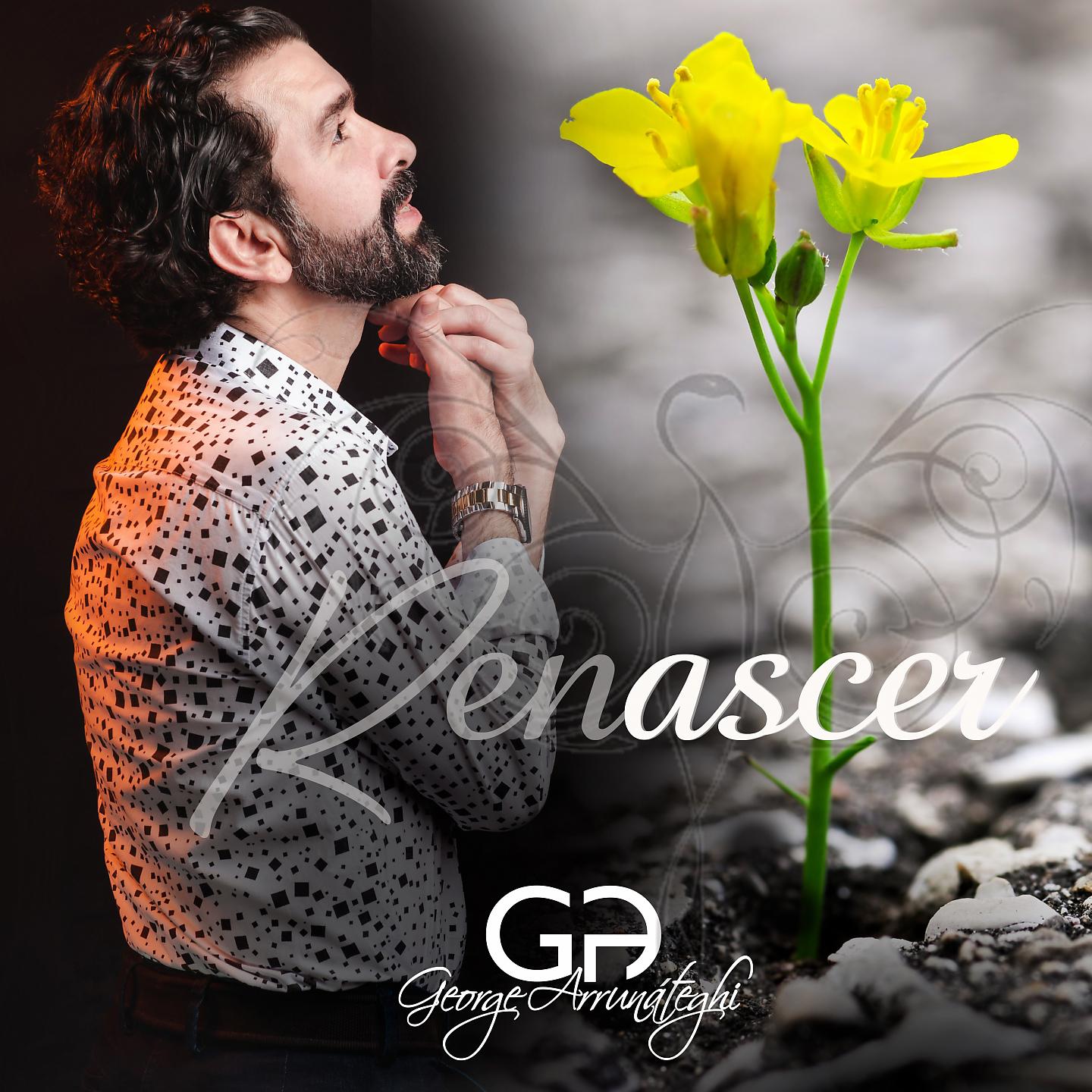 Постер альбома Renascer