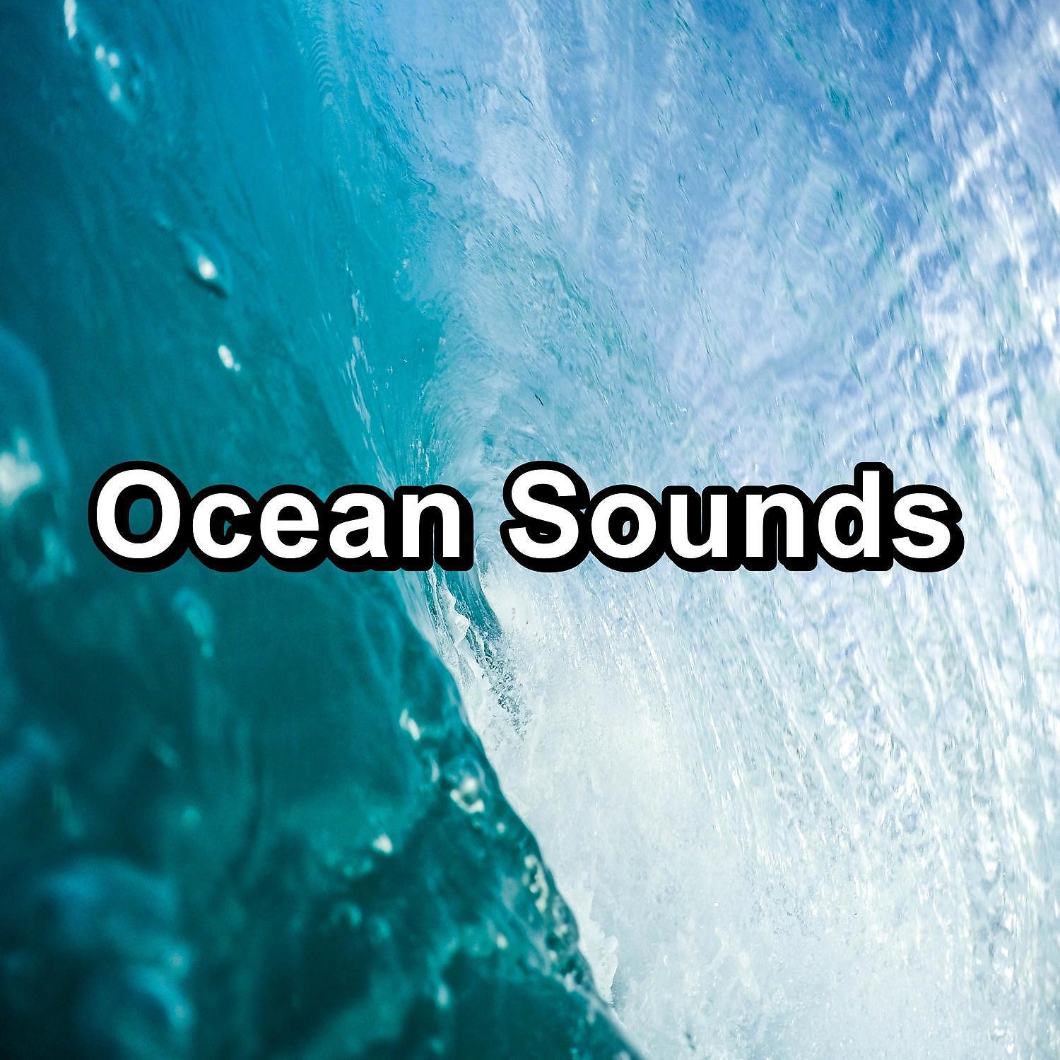 Smooth Wave - Ocean Wave Sounds With Nature Sounds To Help your Baby Sleep