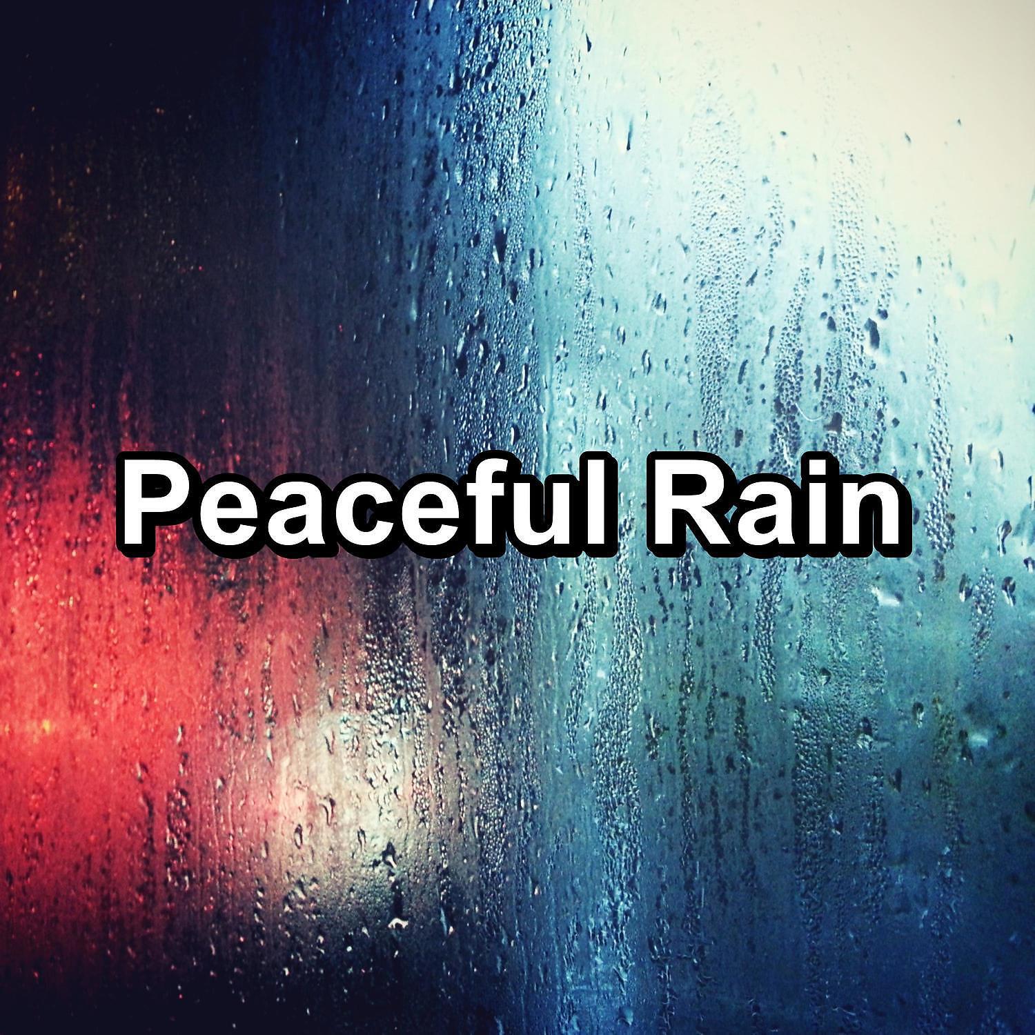 Rest & Relax Nature Sounds Artists - Soft Rain with Thunder and White Noise To Repeat for 24 Hours