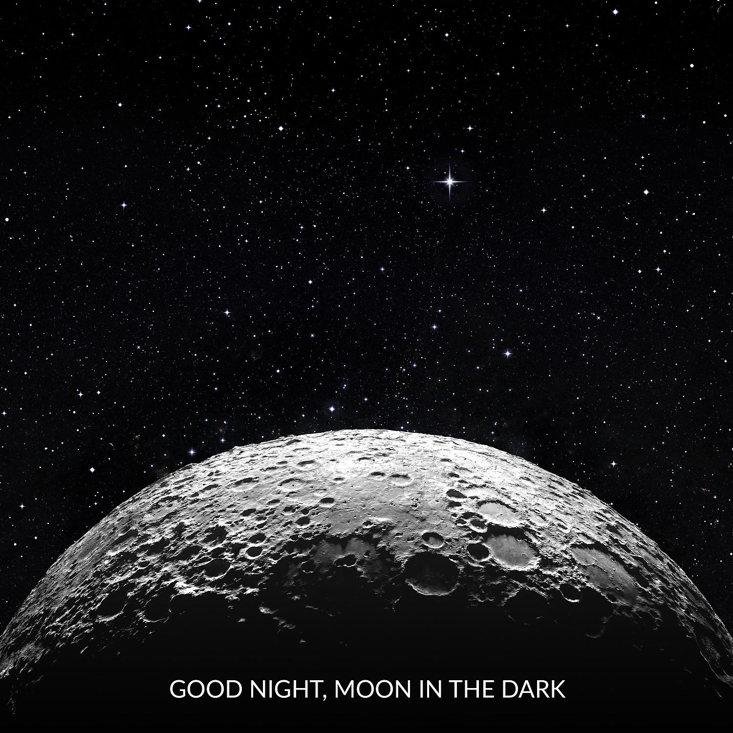 Постер альбома Good Night, Moon in the Dark