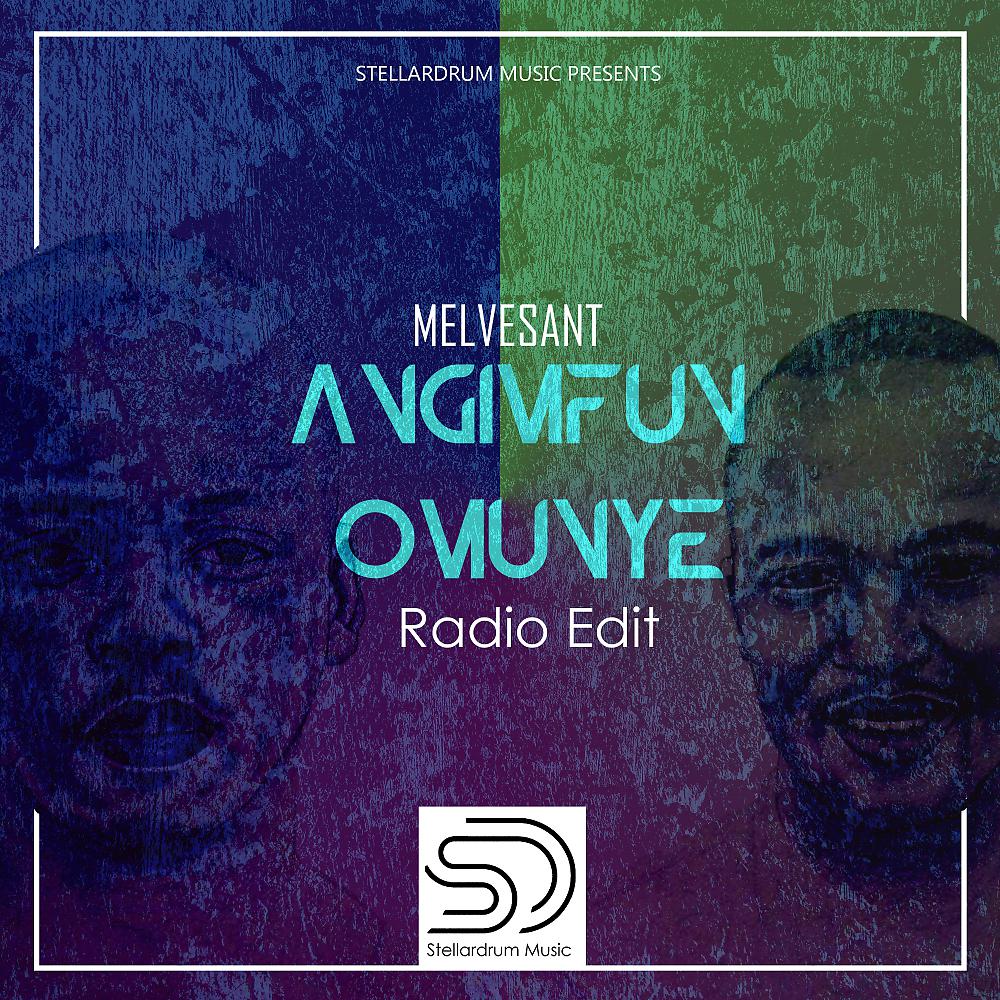 Постер альбома Angimfun Omunye (Radio Edit)