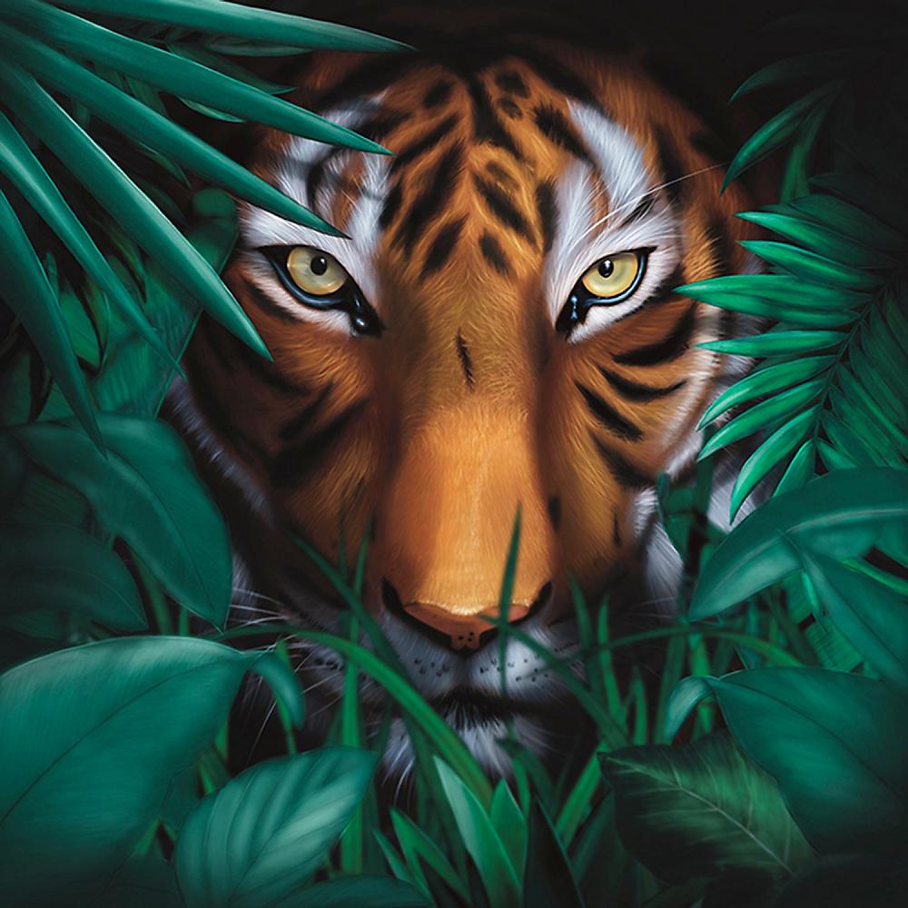 Постер альбома Unique Tiger