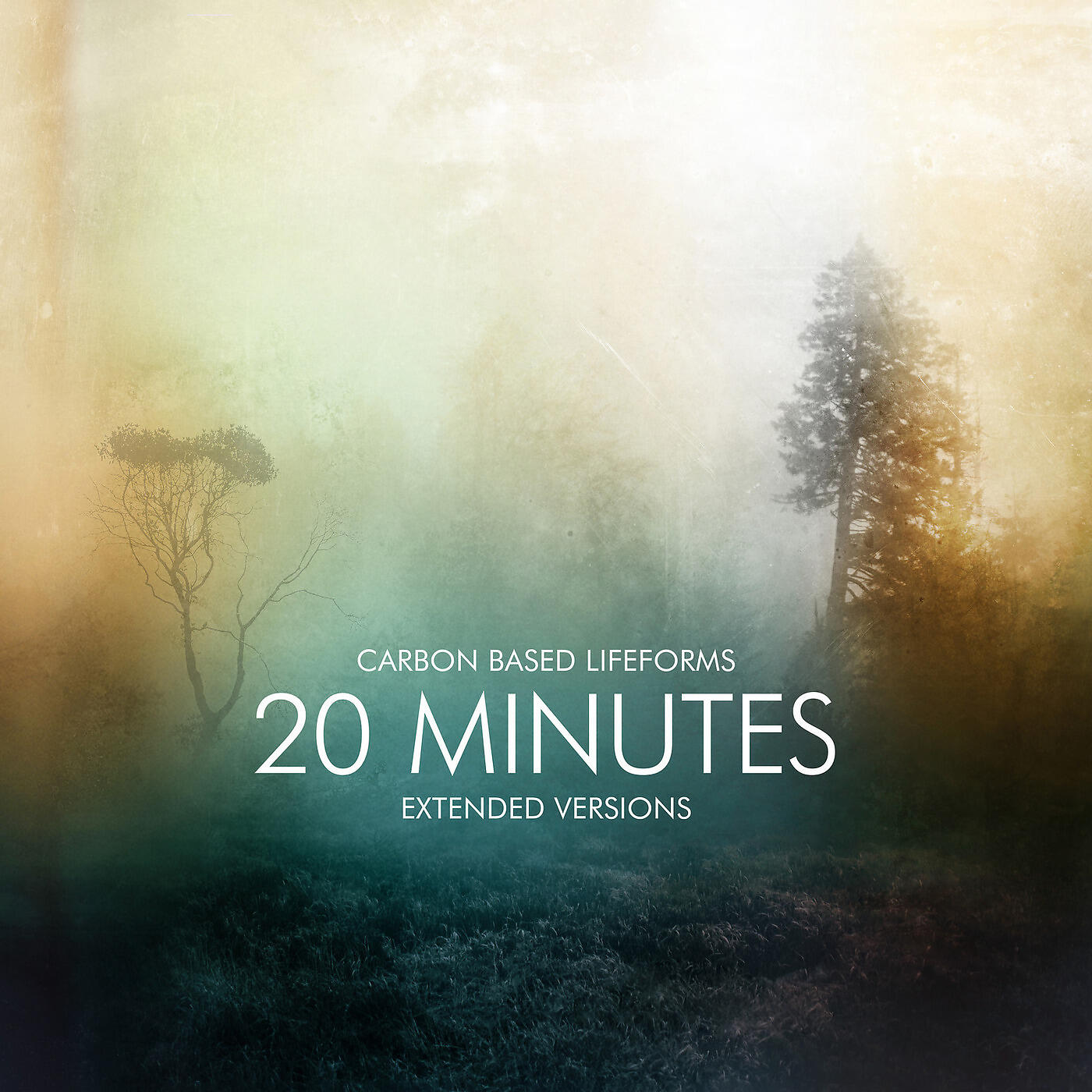Based lifeforms. Carbon based Lifeforms - 20 minutes. Группа Carbon based Lifeforms. Обложка Carbon based Lifeforms. Carbon based Lifeforms альбомы.