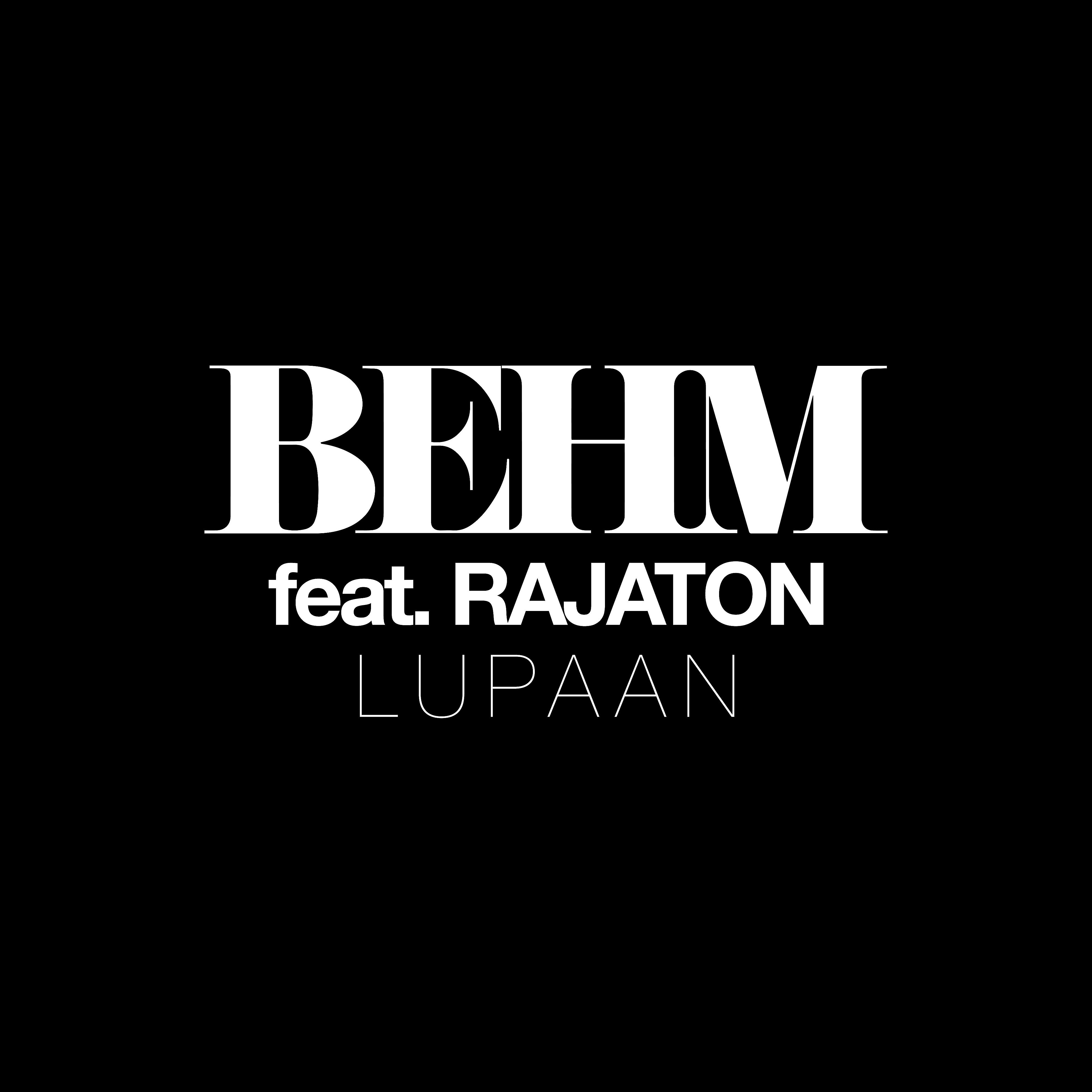 Постер альбома Lupaan (feat. Rajaton)
