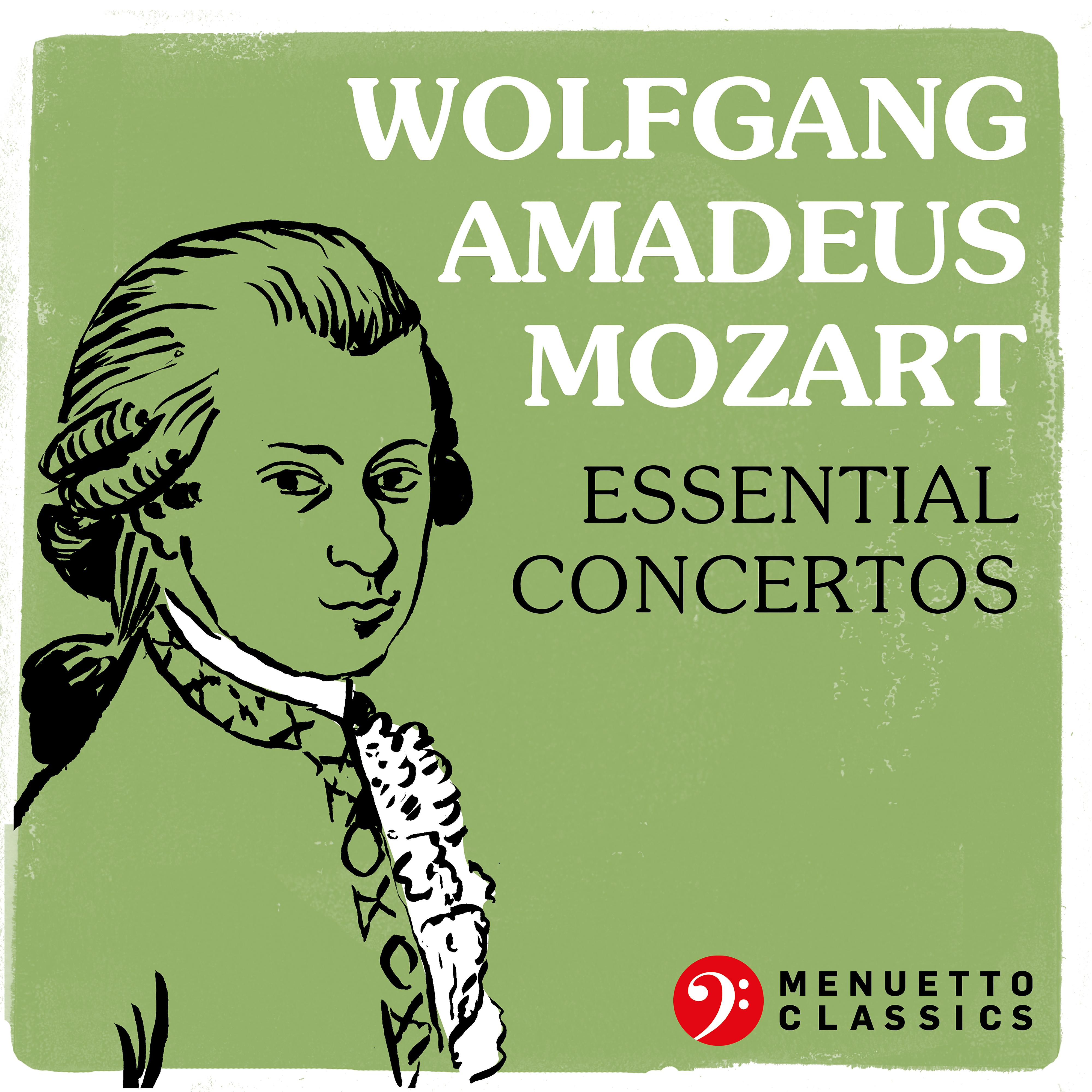 Постер альбома Wolfgang Amadeus Mozart: Essential Concertos