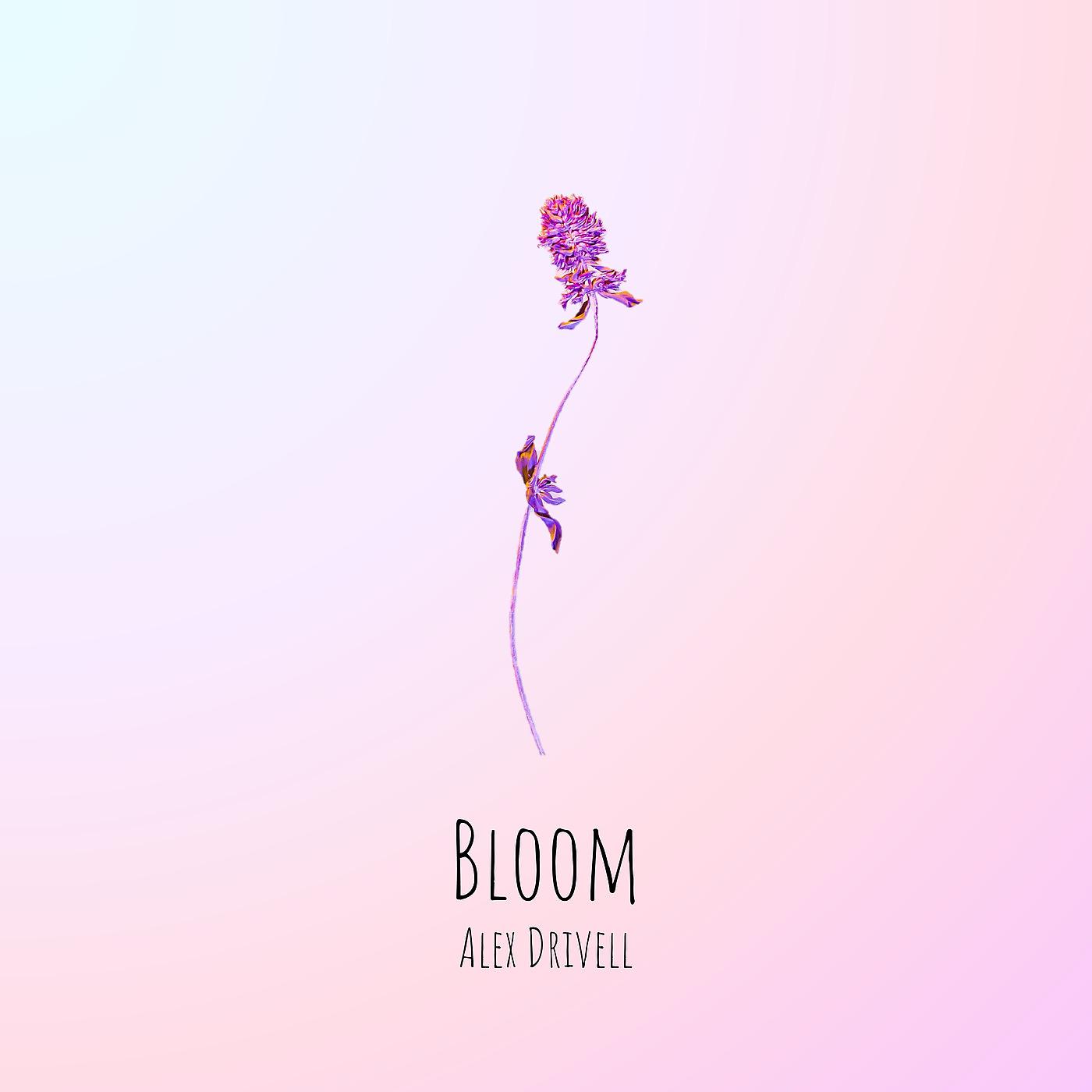 Постер альбома Bloom