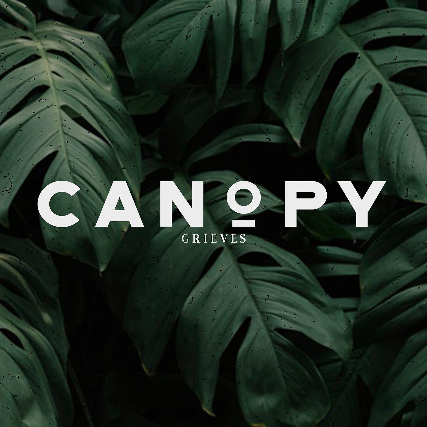 Постер альбома Canopy