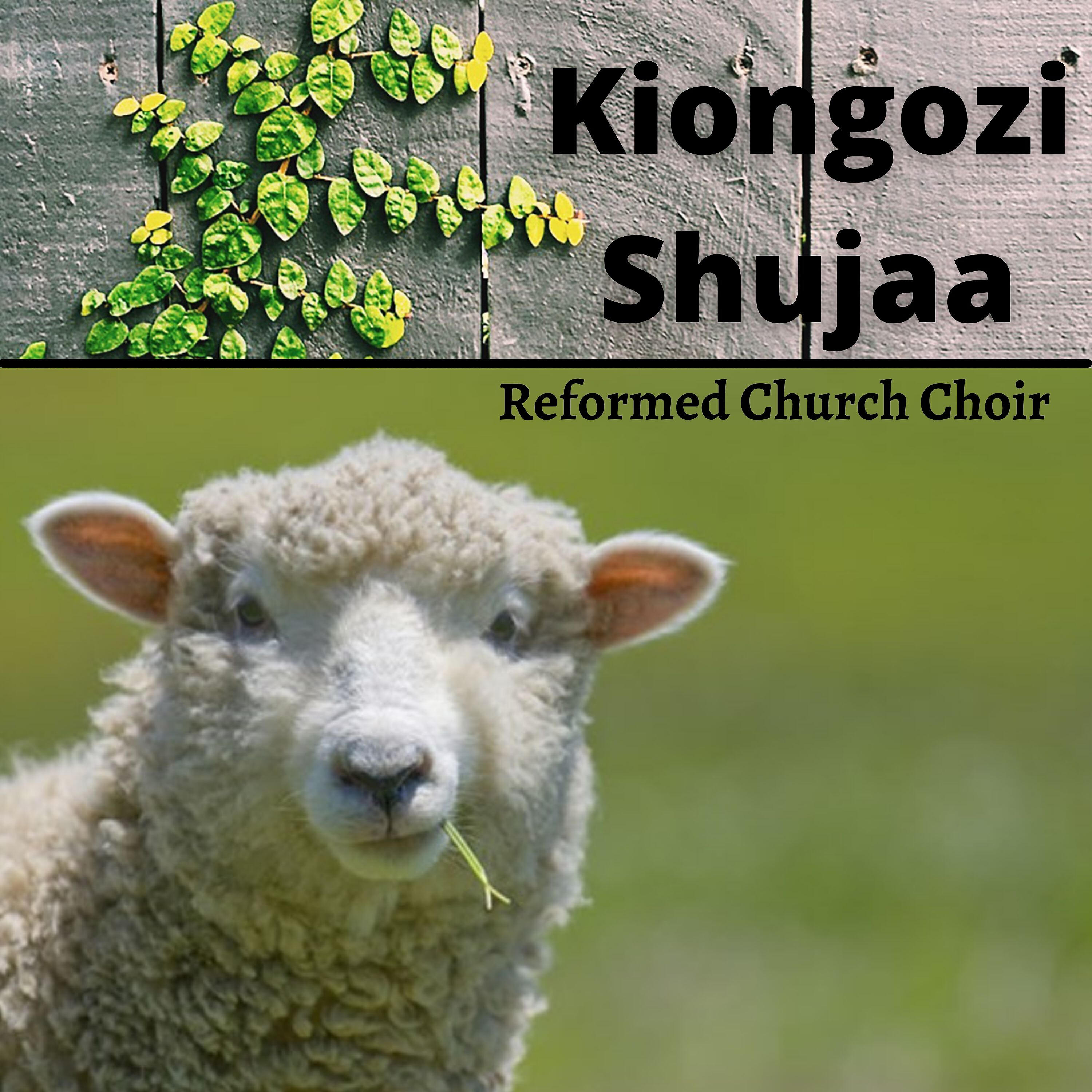 Reformed Church Choir - Nimeoshwa Kwa Damu Ya Kondoo