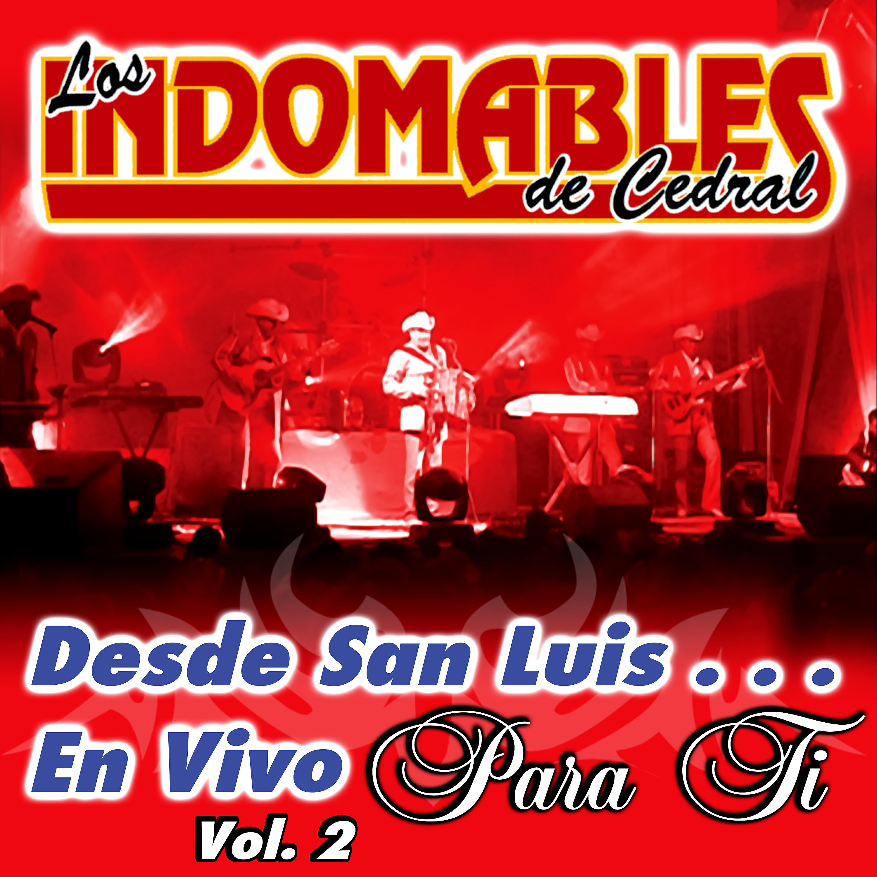 Los Indomables De Cedral - Cuatro Meses (En Vivo)
