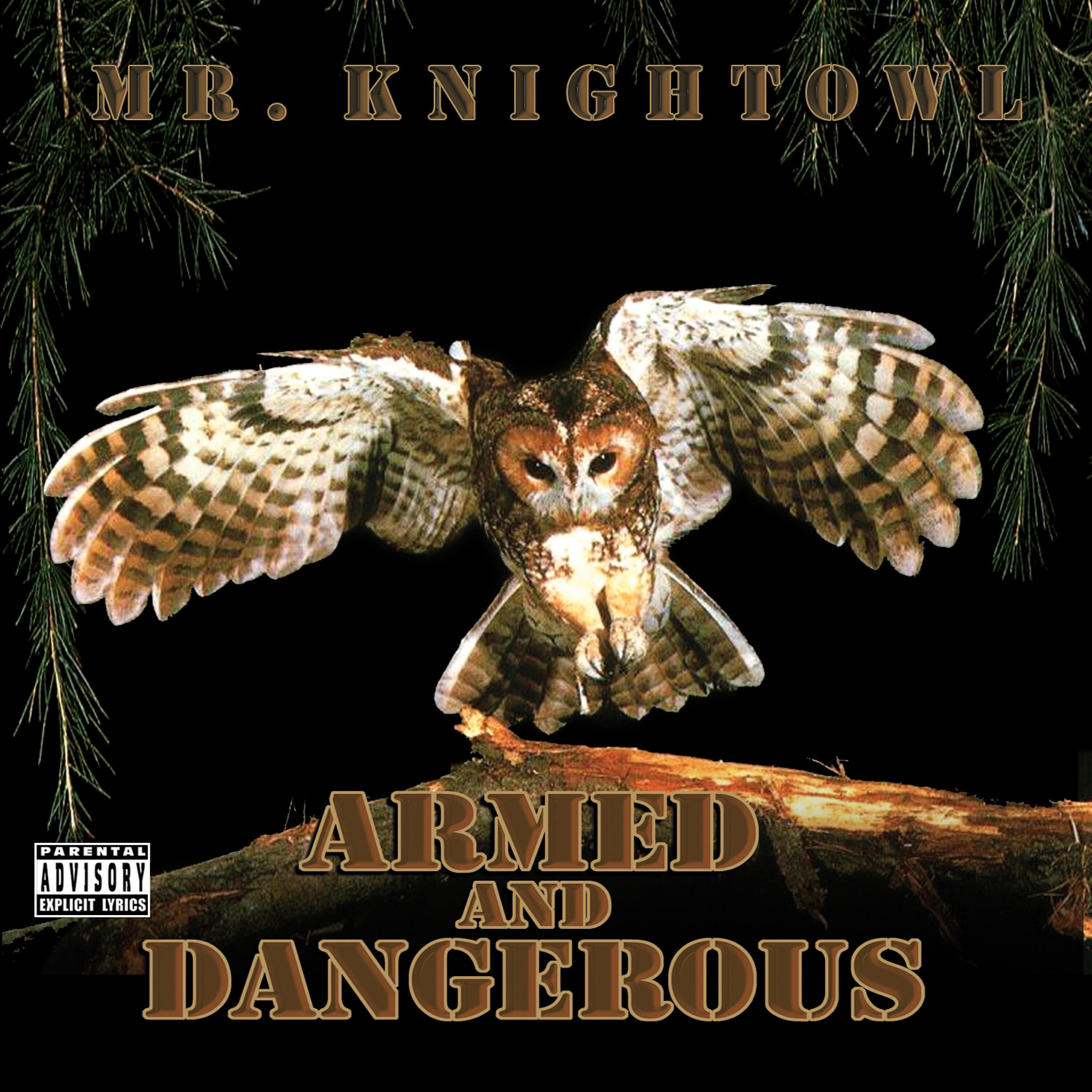 Mr. Knightowl - Badness is Madness