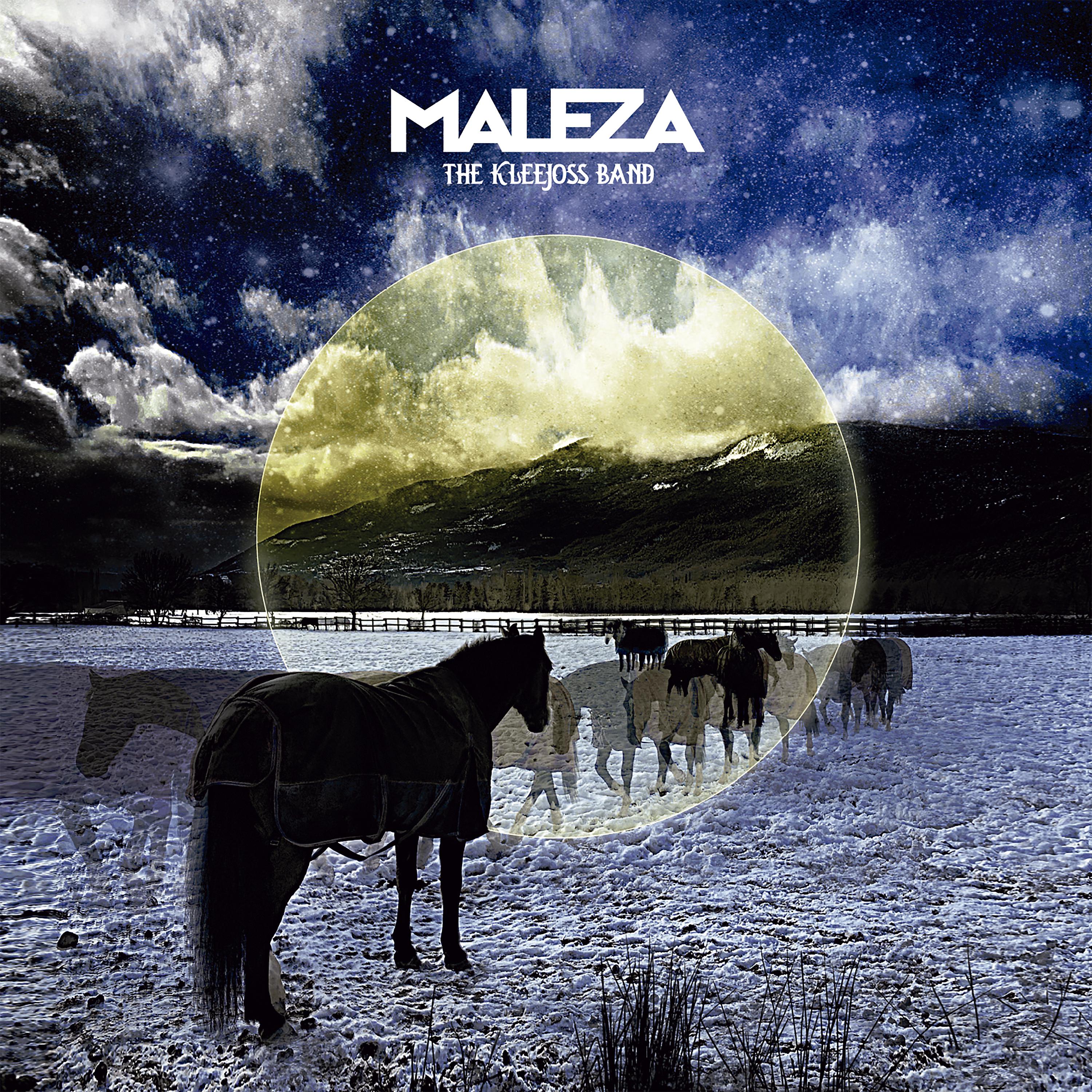 Постер альбома Maleza