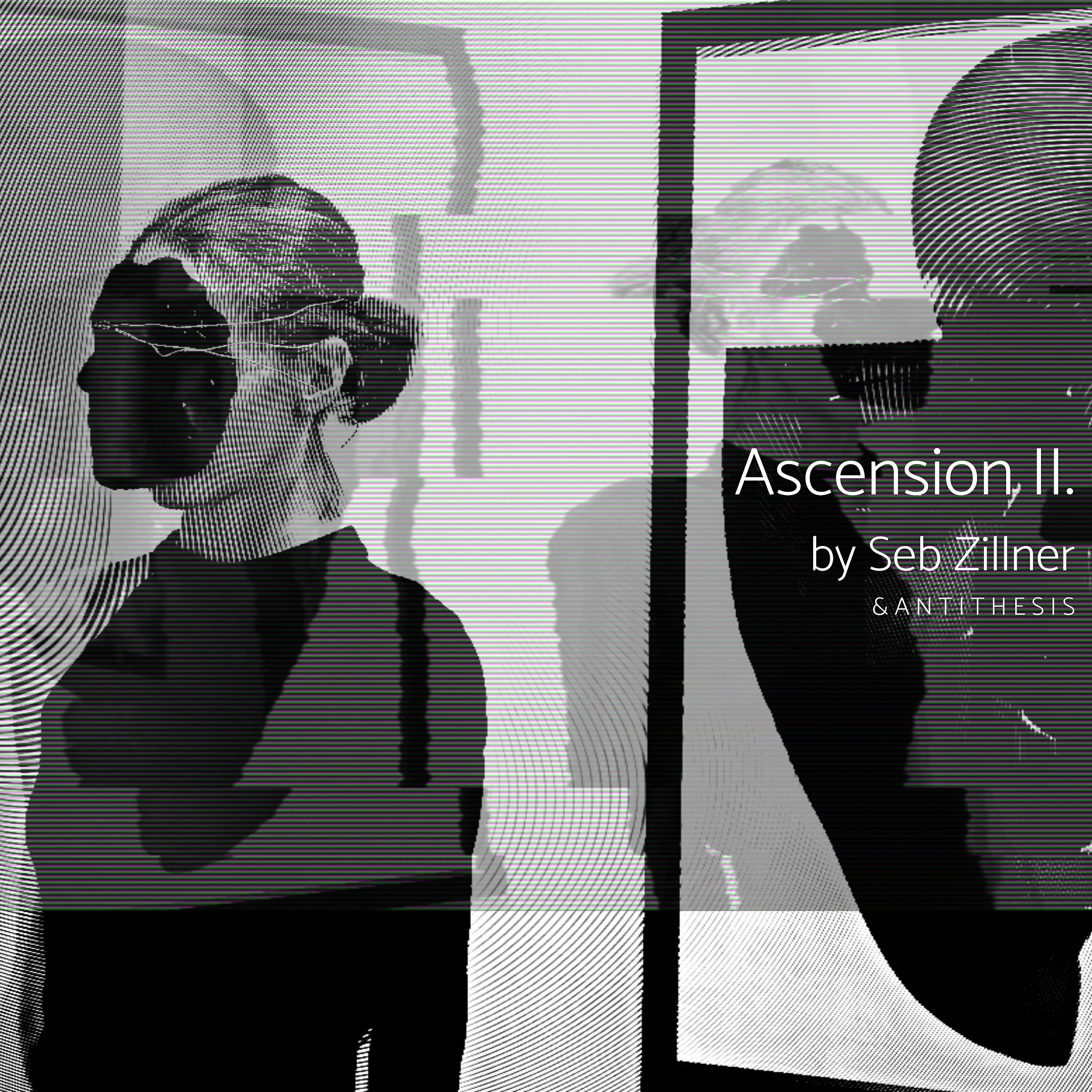 Seb Zillner - Ask Me Once