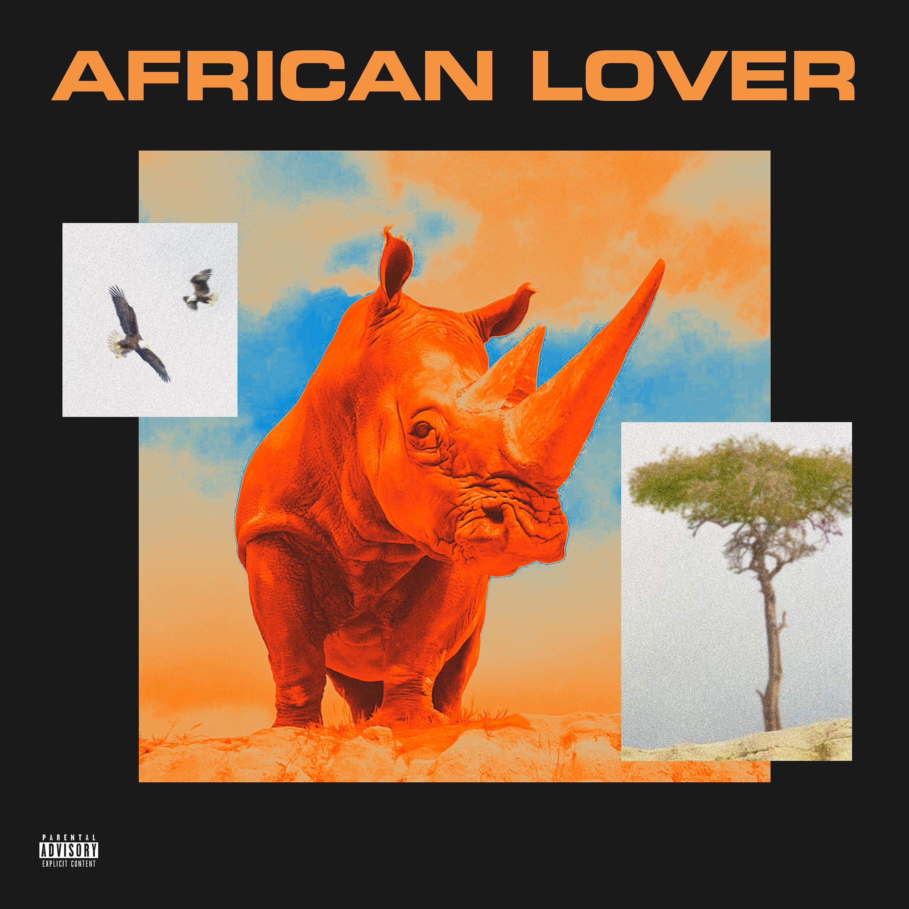 Постер альбома AFRICAN LOVER