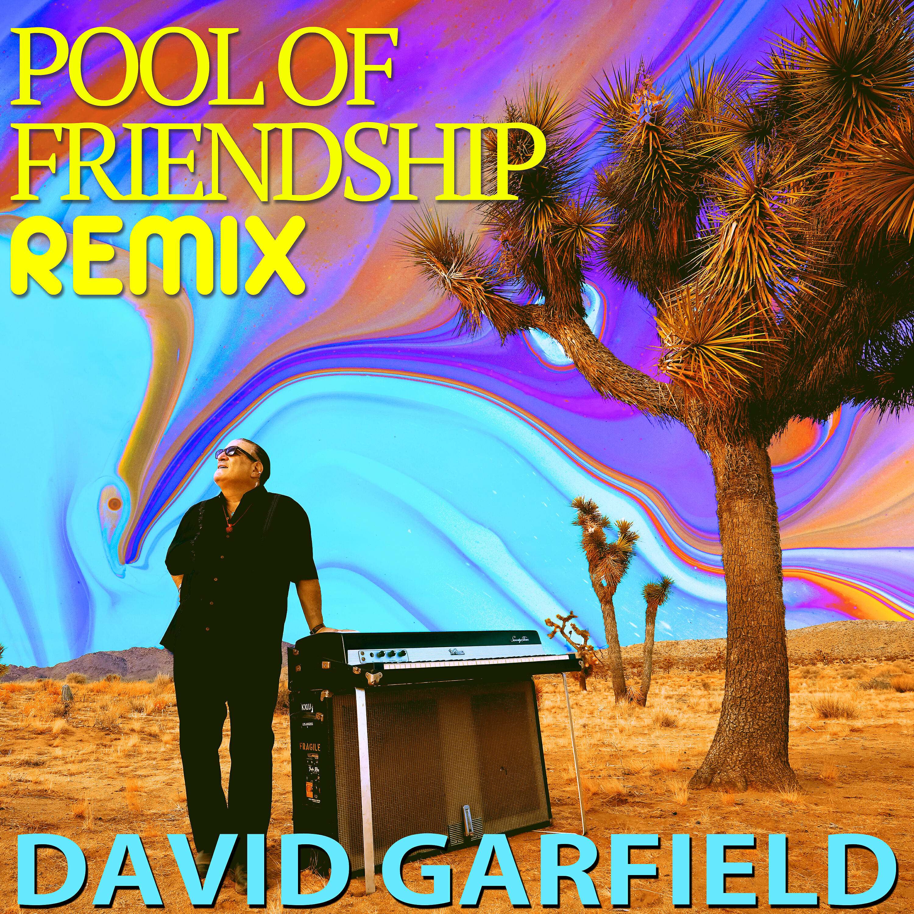 David Garfield - Pool Of Friendship (Remix)