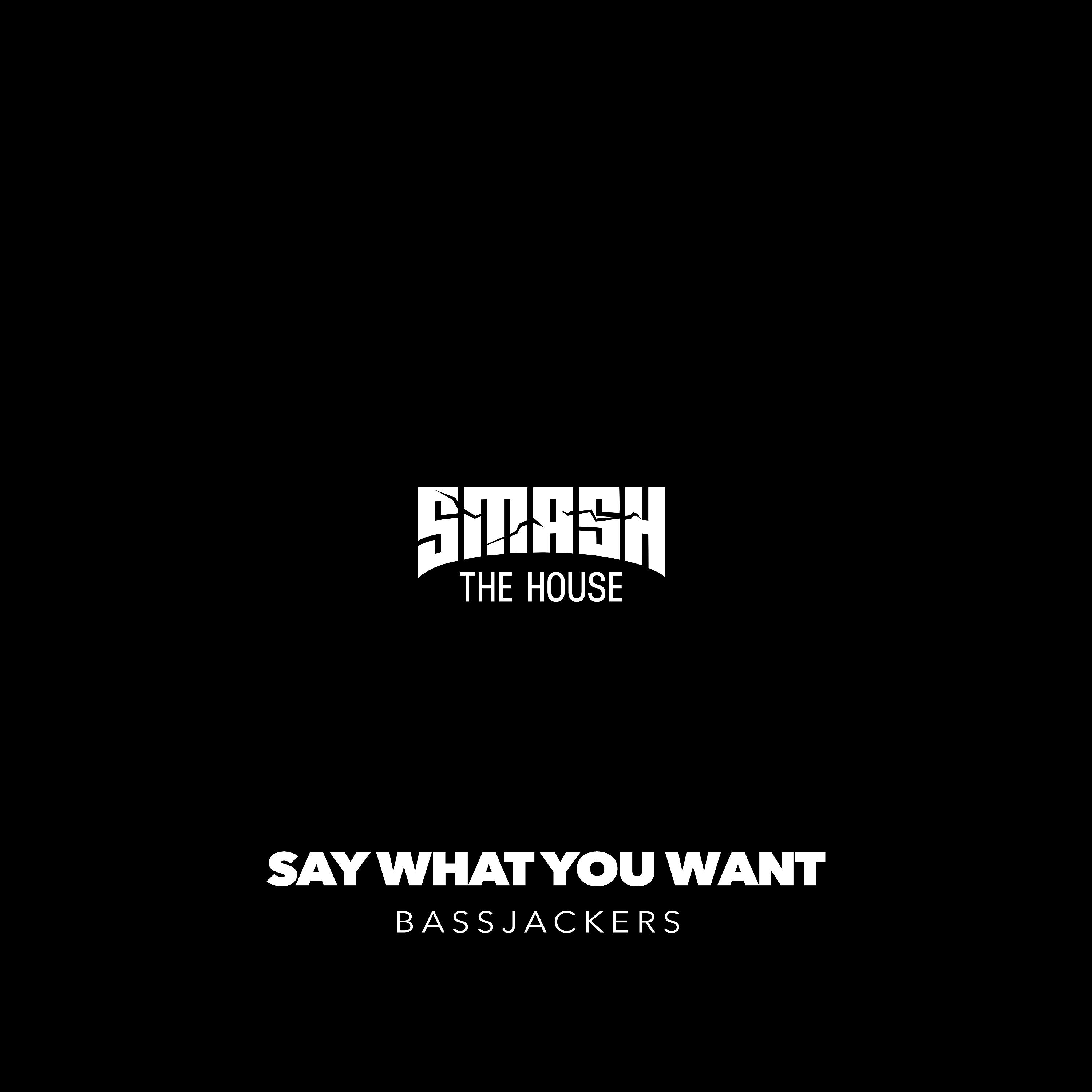 Постер альбома Say What You Want
