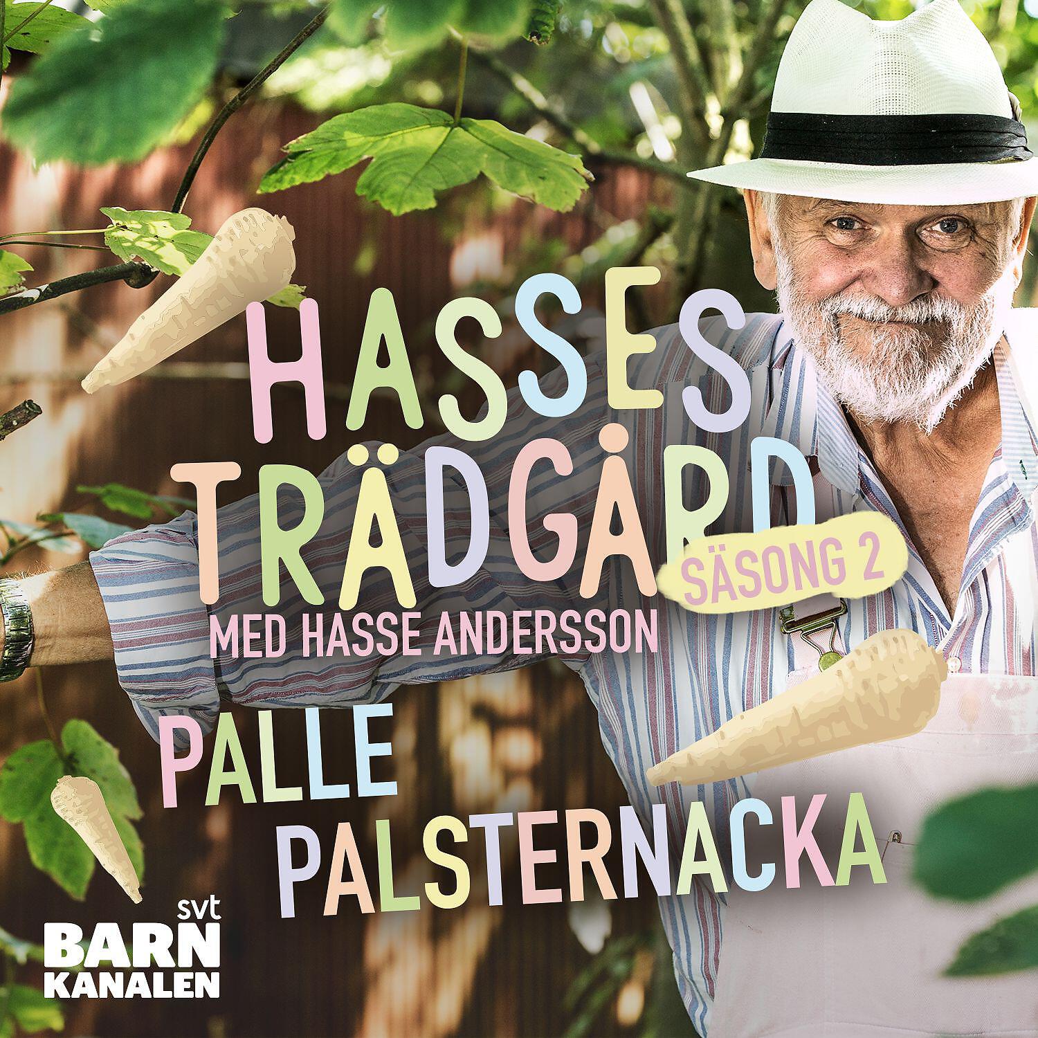 Hasse Andersson - Palle palsternacka (Karaoke)