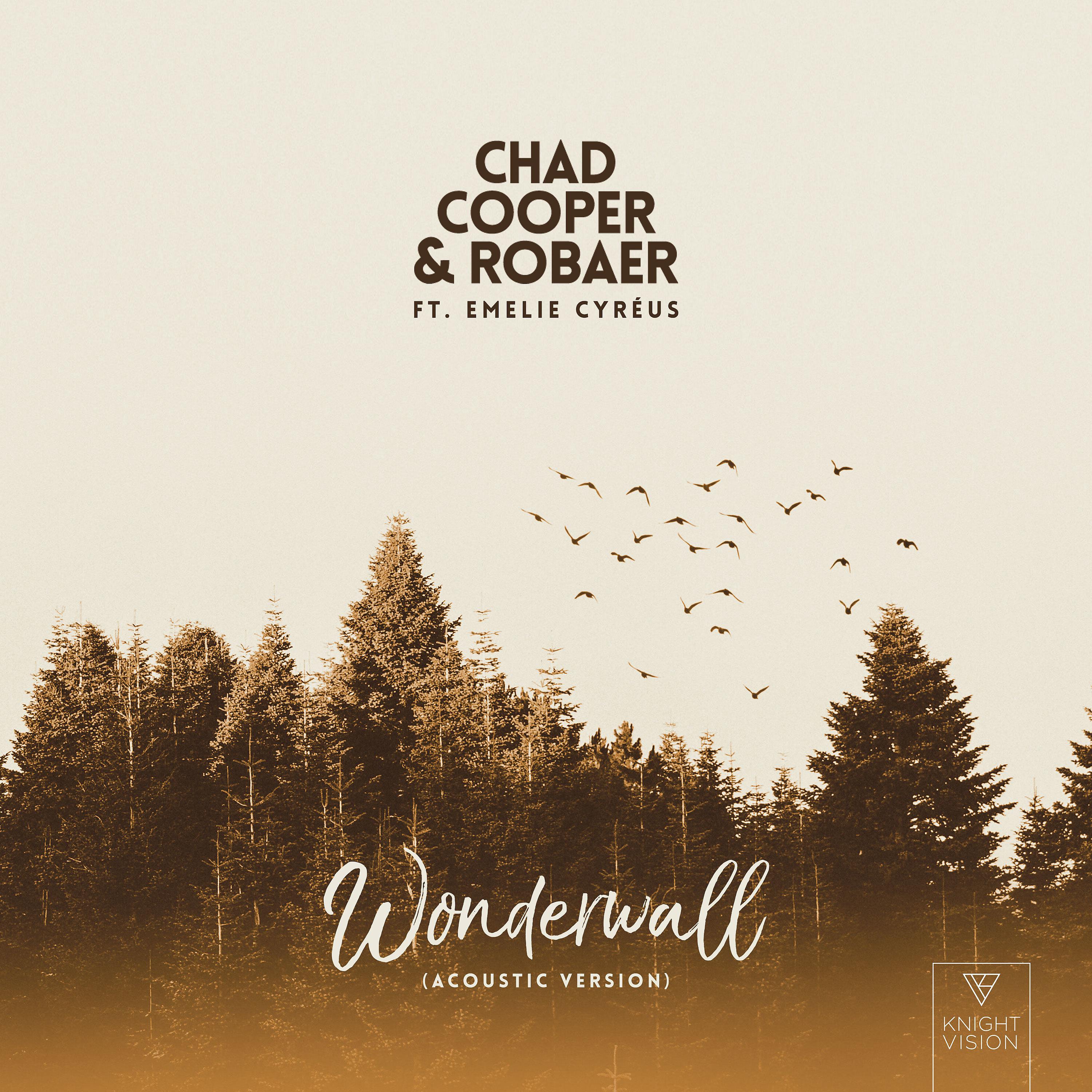 Постер альбома Wonderwall (feat. Emelie Cyréus) [Acoustic Version]