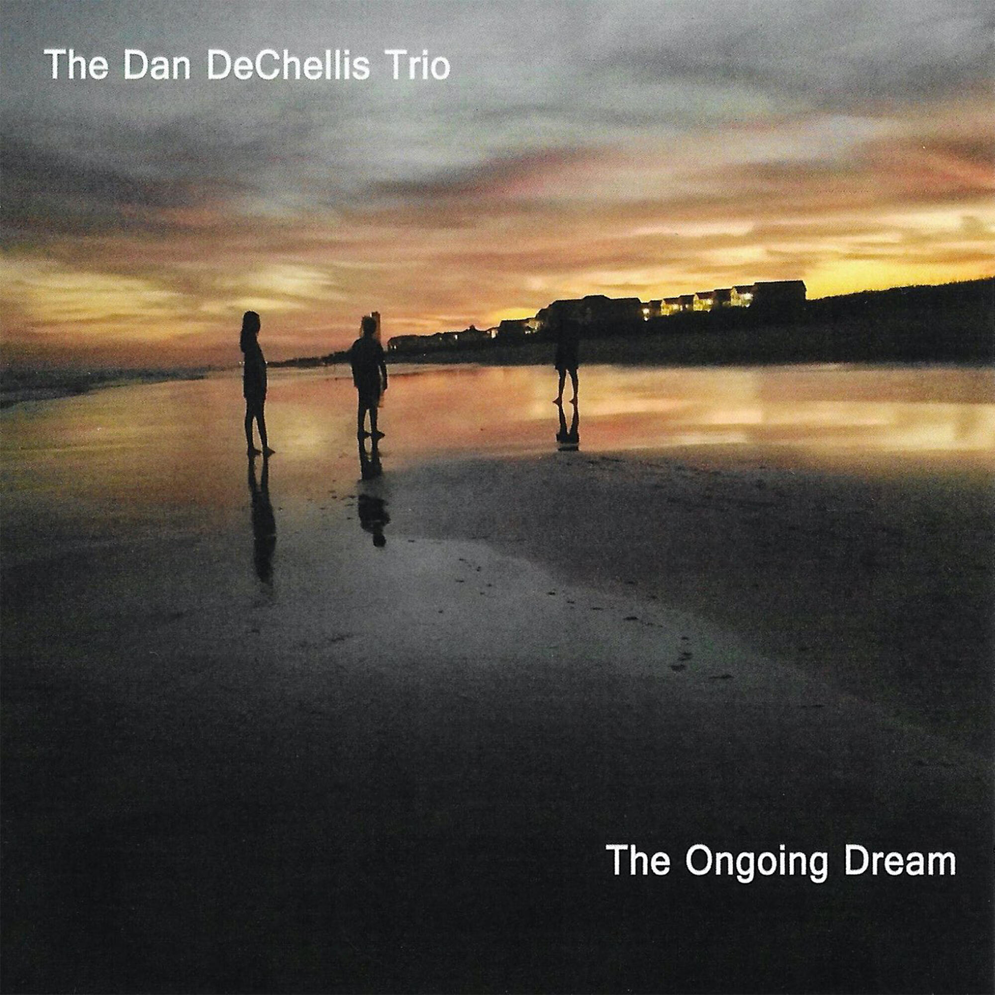 The Dan DeChellis Trio - Loss of Memory