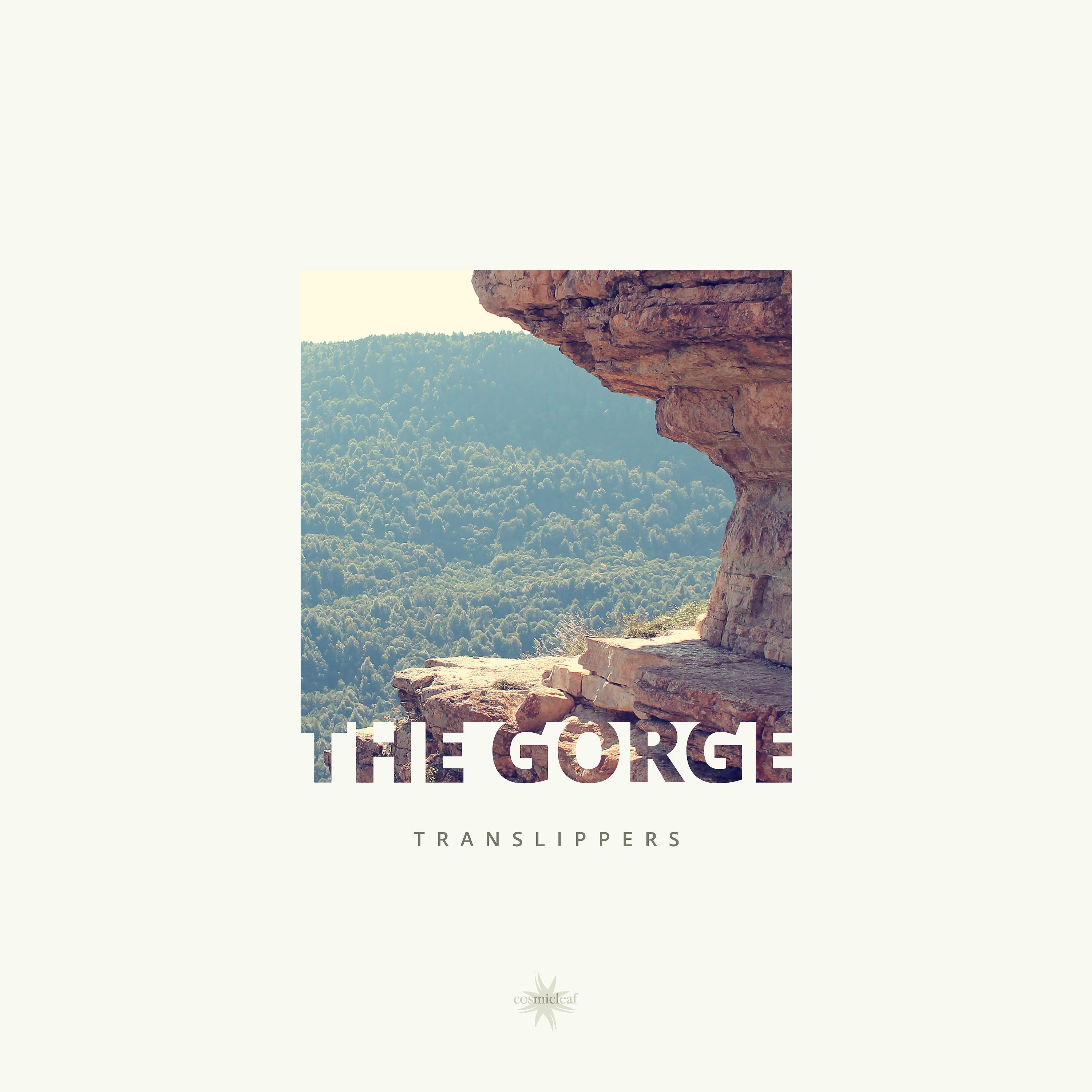 Постер альбома The Gorge