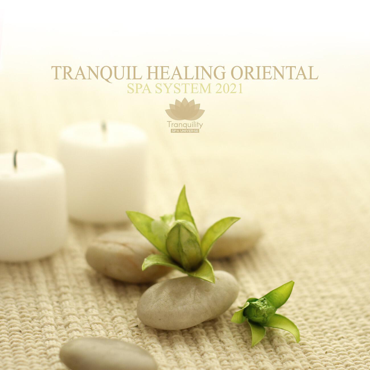Tranquility Spa Universe - Asian Spa Oasis