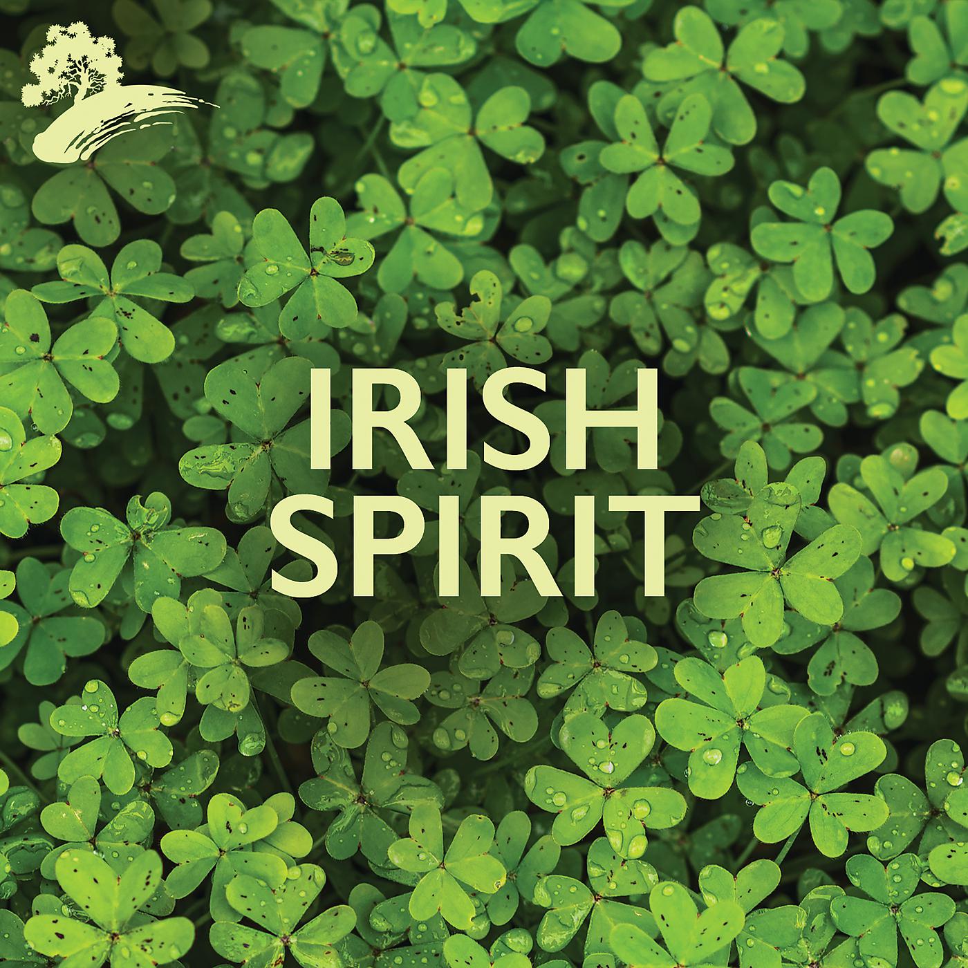 Постер альбома Irish Spirit