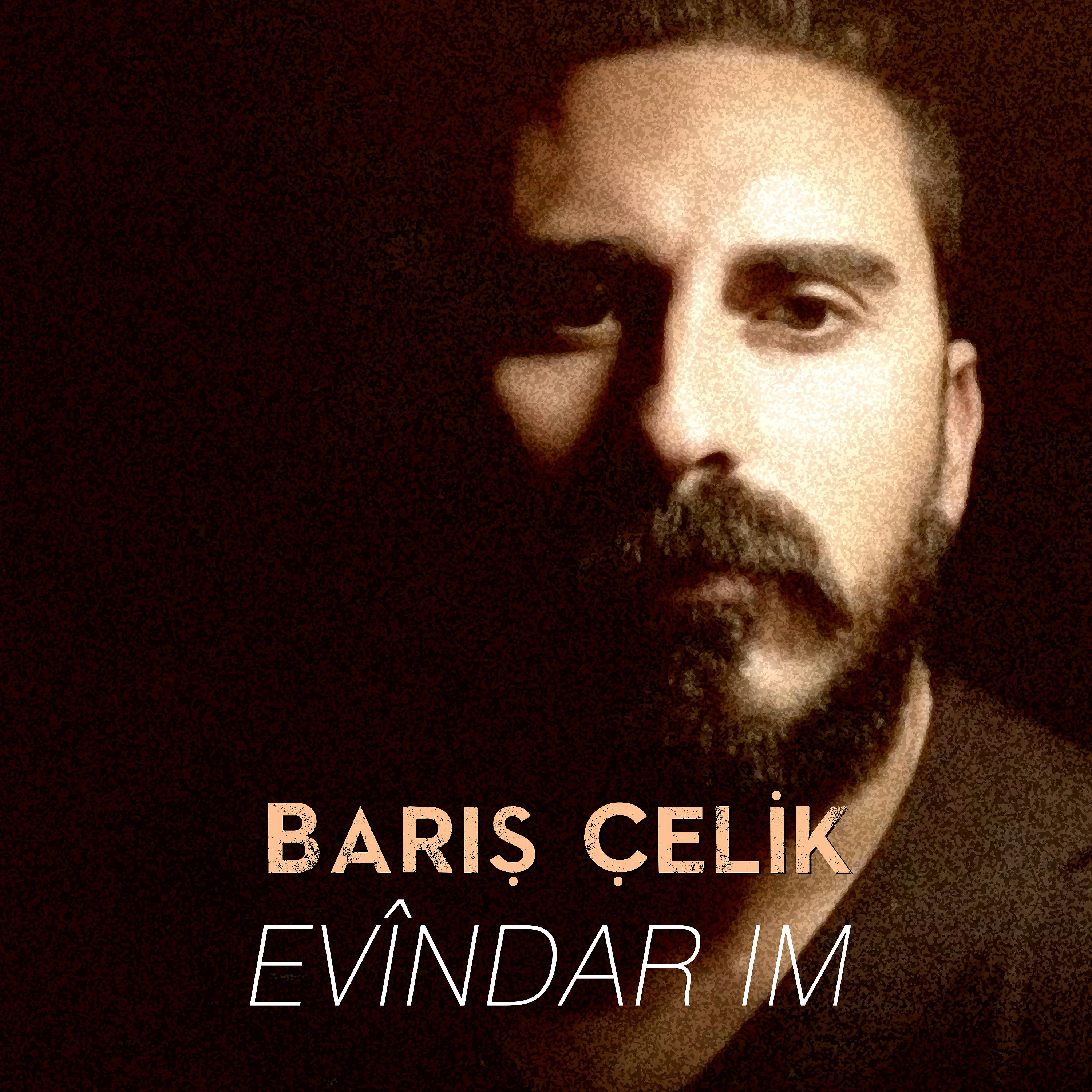 Постер альбома Evîndarim