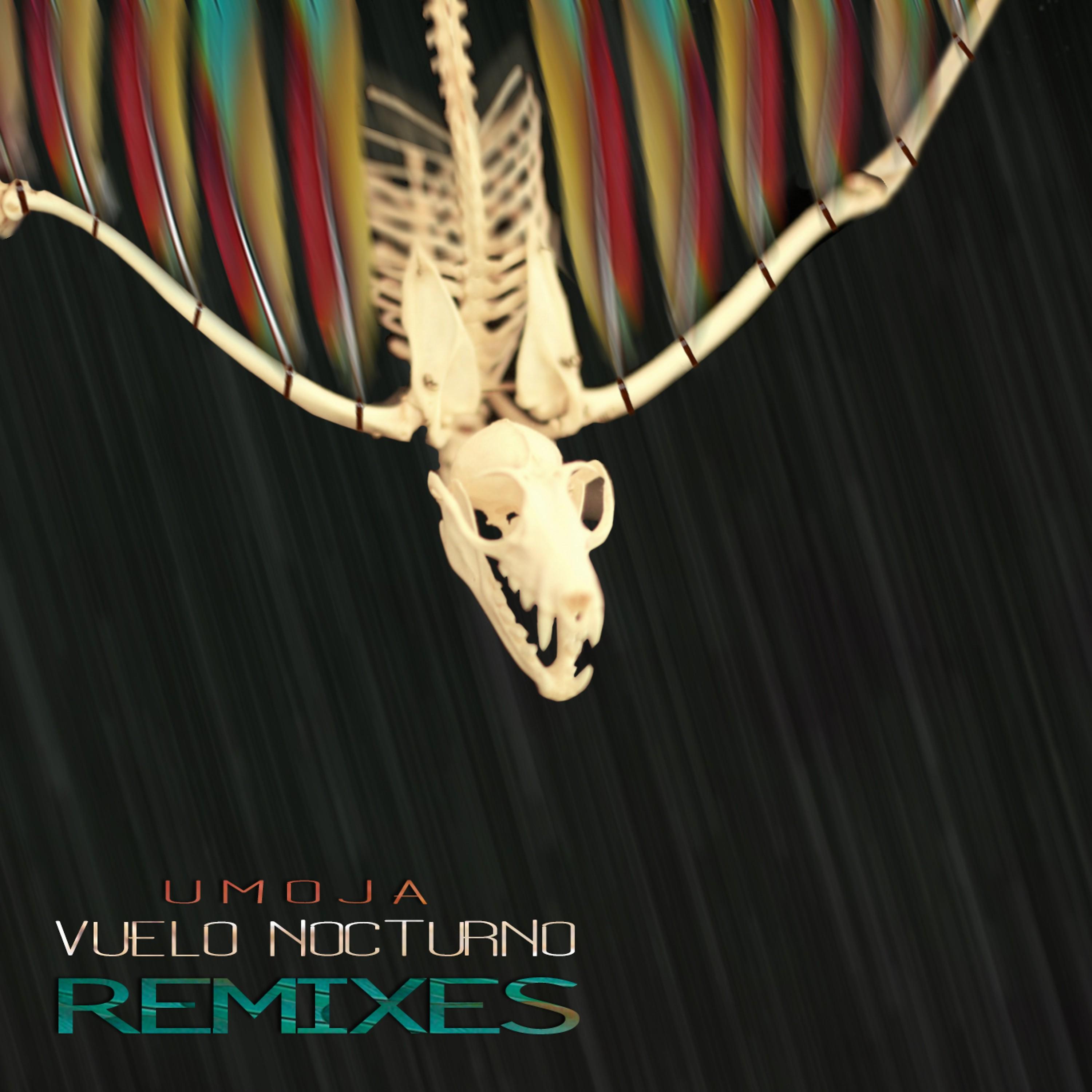 Постер альбома Vuelo Nocturno Remixes