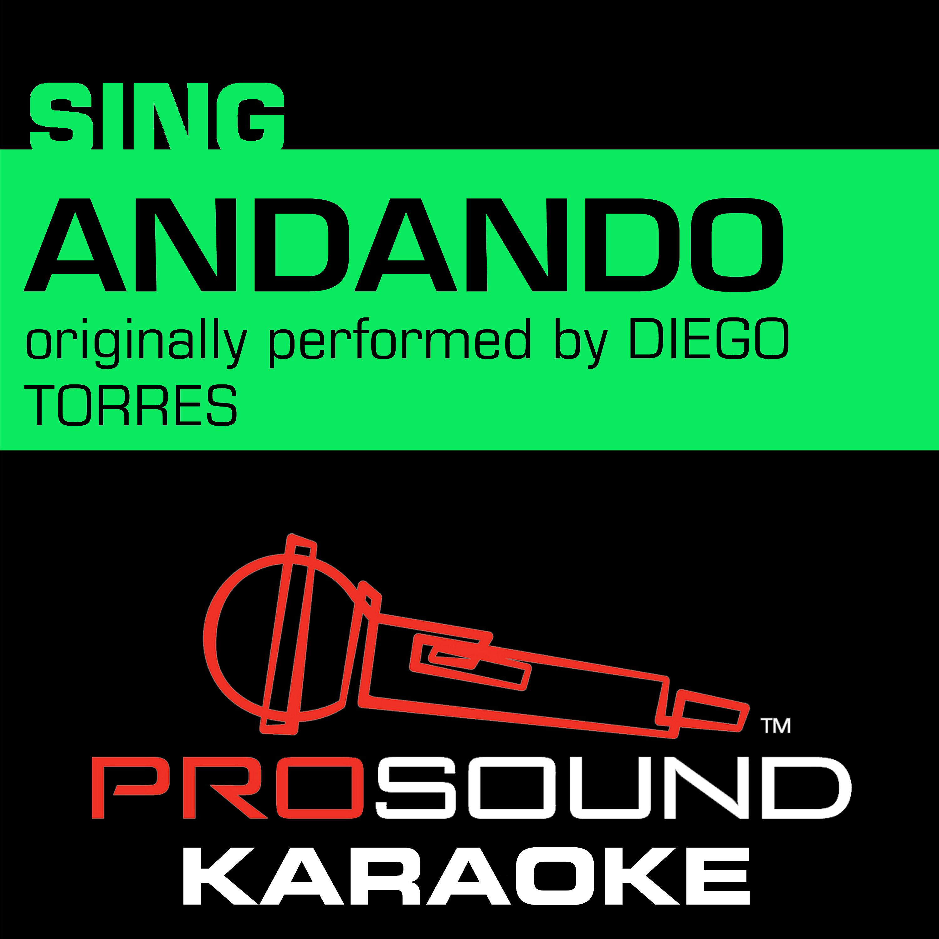 Постер альбома Andando (Originally Performed by Diego Torres) [Instrumental Version]