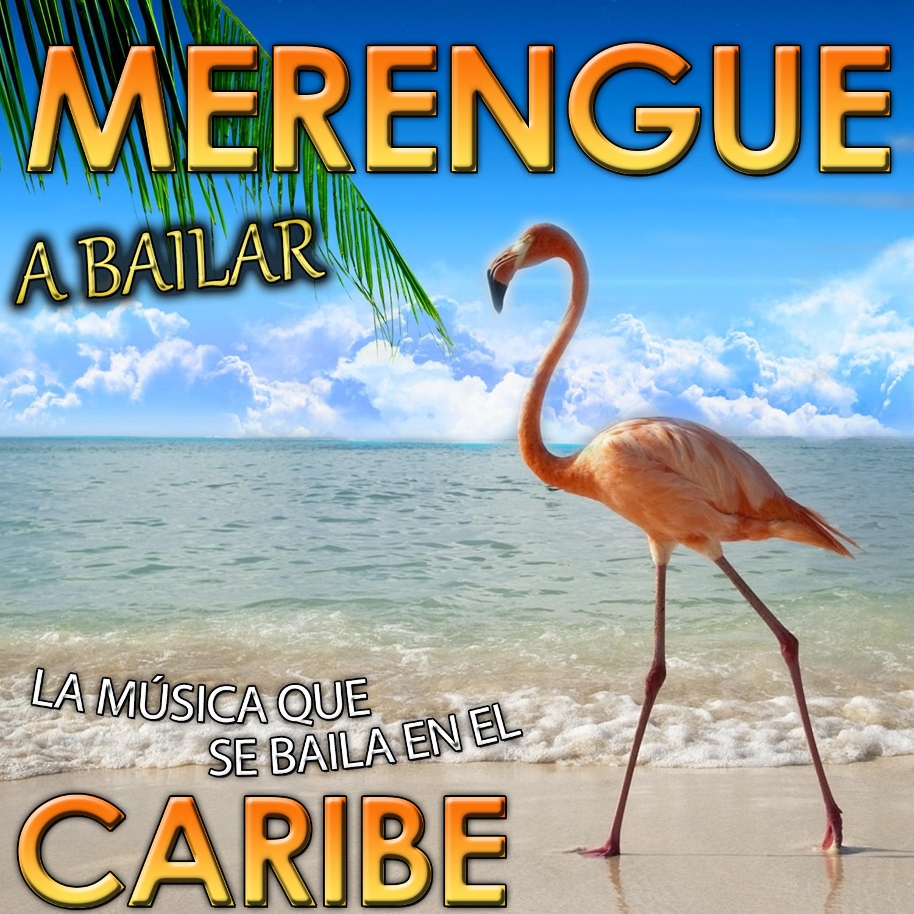 Постер альбома A Bailar Merengue. La Música Que Se Baila en el Caribe
