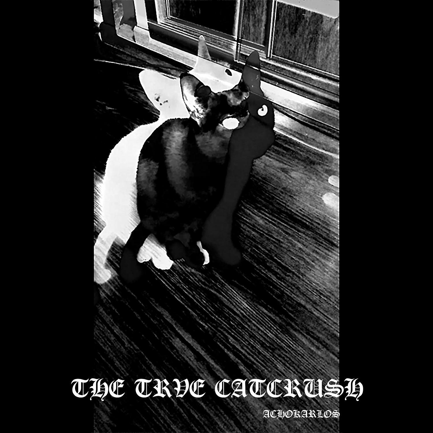 Постер альбома The Trve Catcrush
