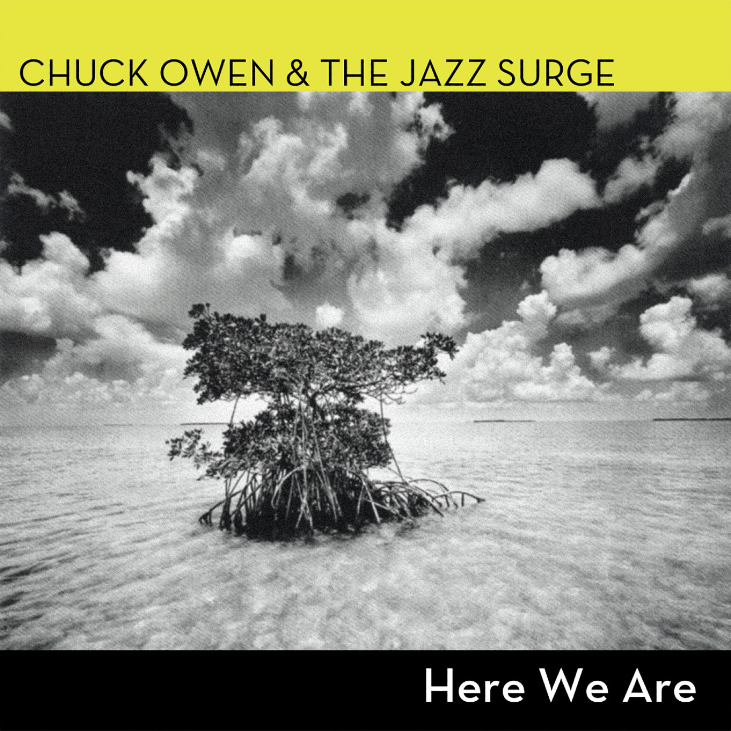 Chuck Owen & The Jazz Surge - Off Flow