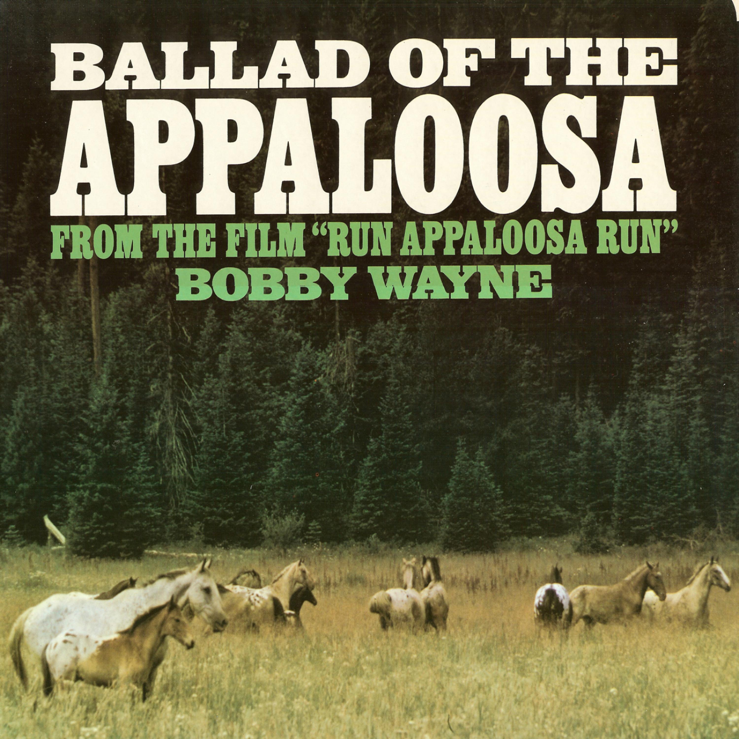 Постер альбома Ballad Of The Appaloosa